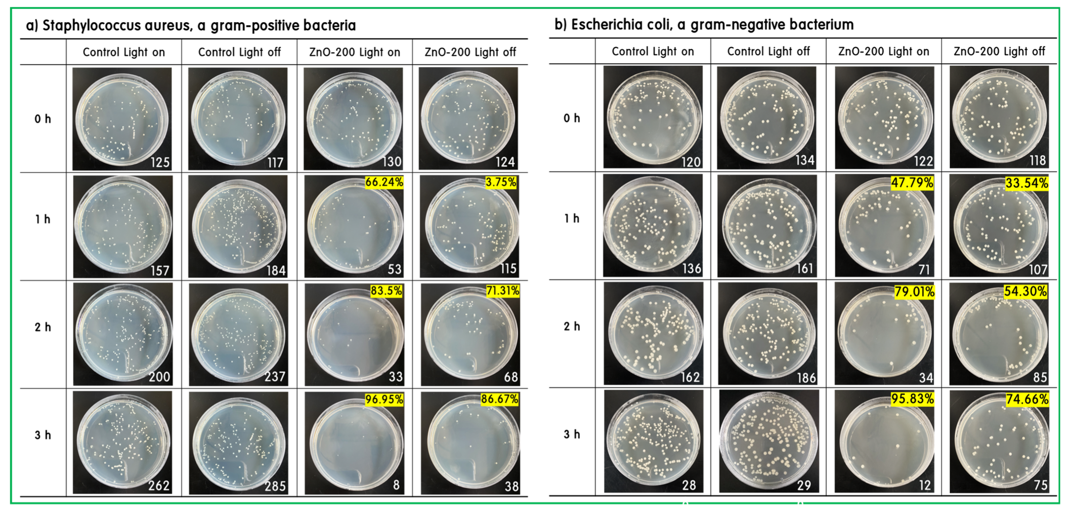 Catalysts 13 00567 g008 Catalysts 13 00567 g008