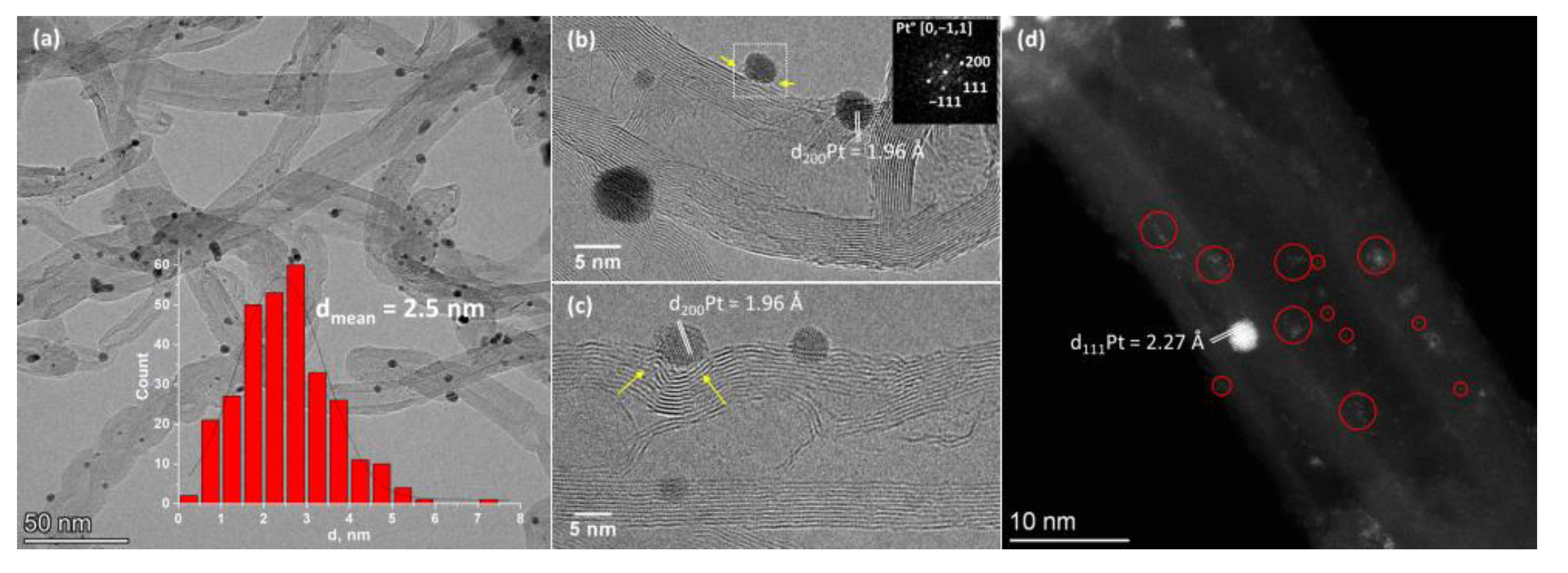 Catalysts 13 00568 g001