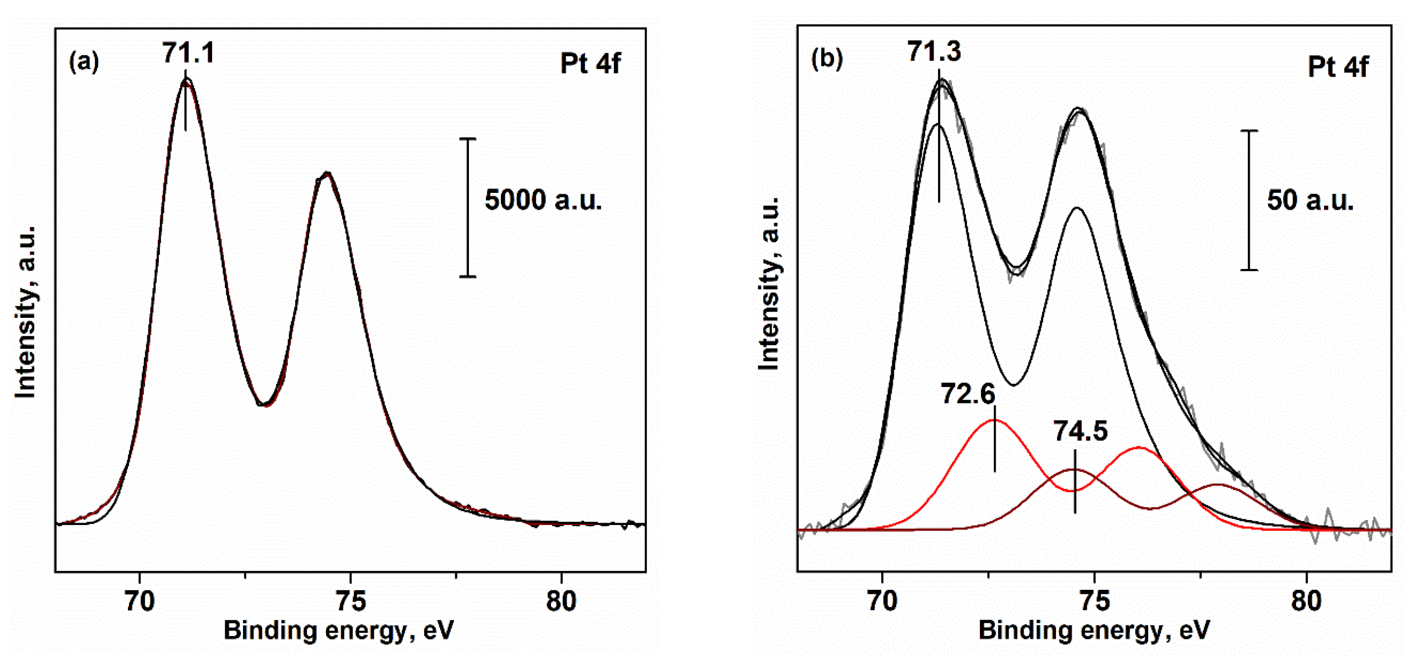 Catalysts 13 00568 g002
