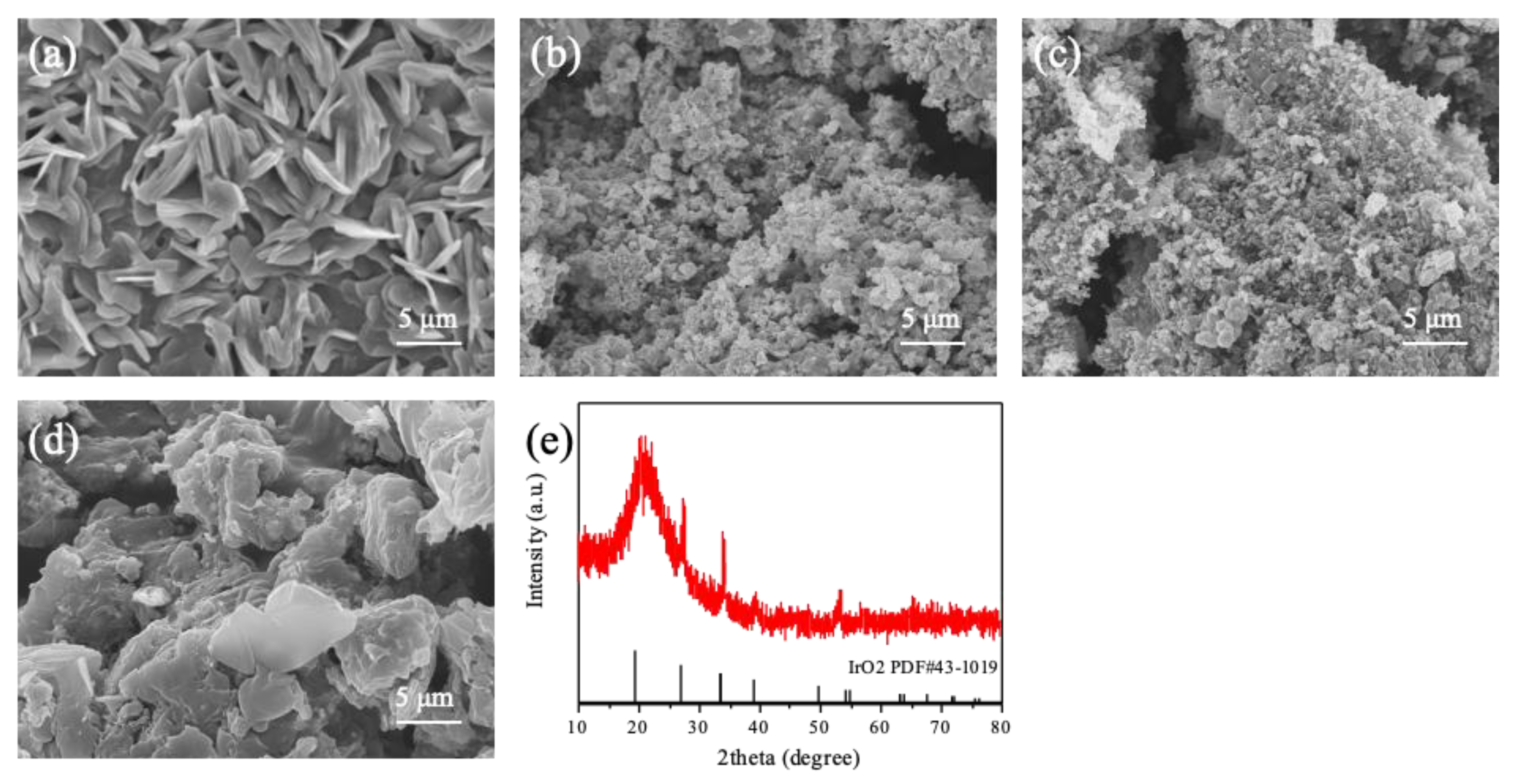 Catalysts 13 00569 g002