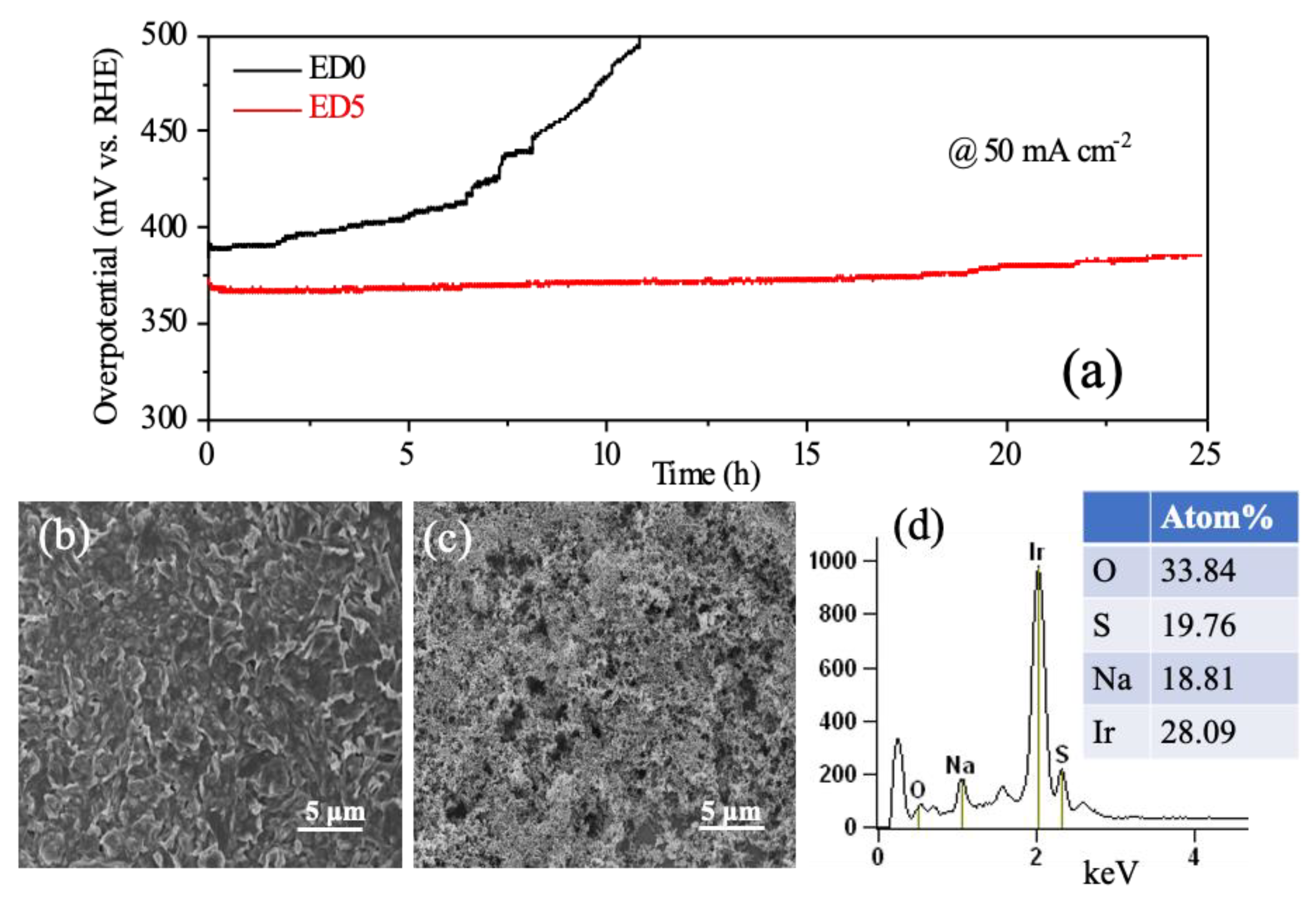 Catalysts 13 00569 g005