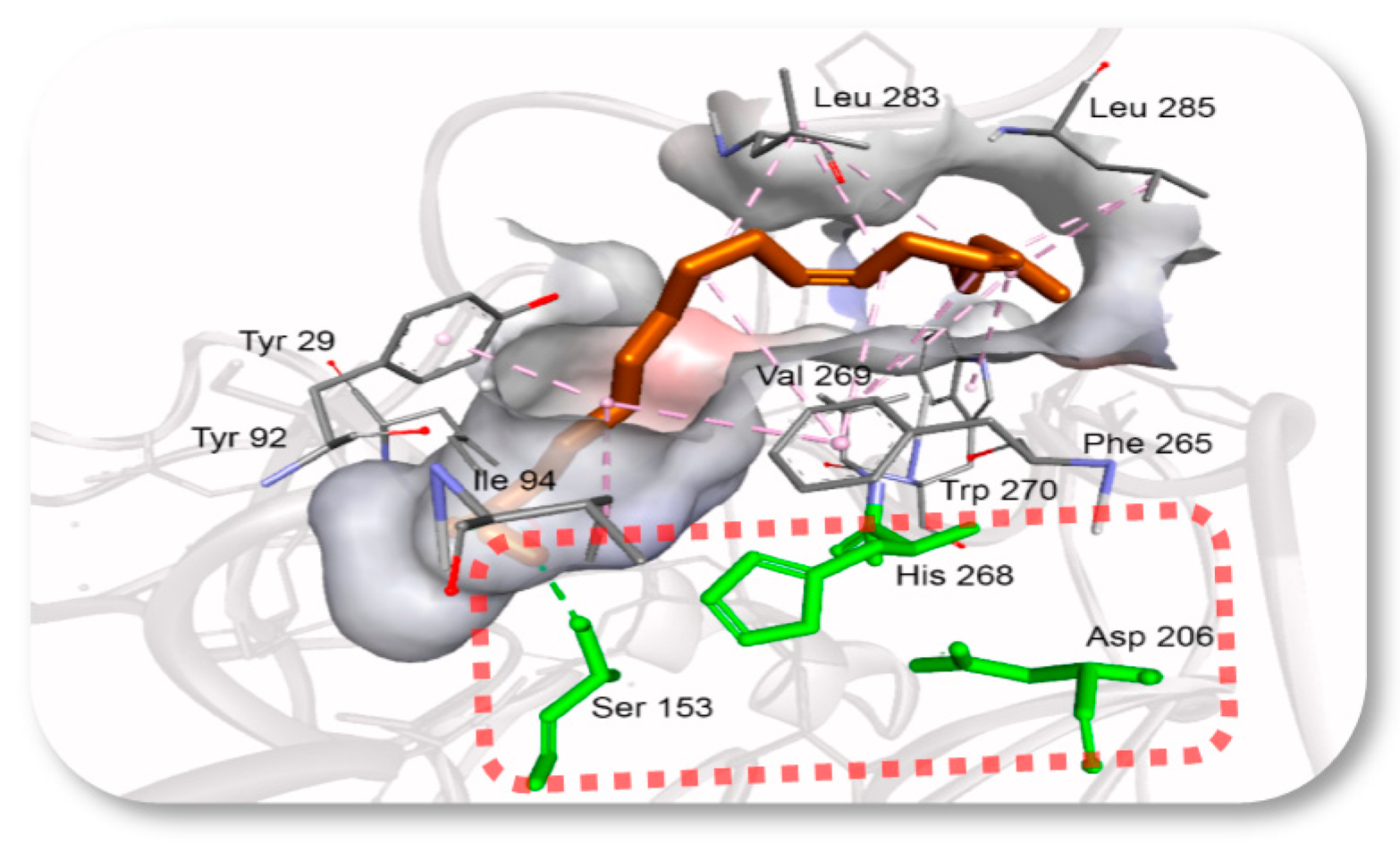 Catalysts 13 00571 g006