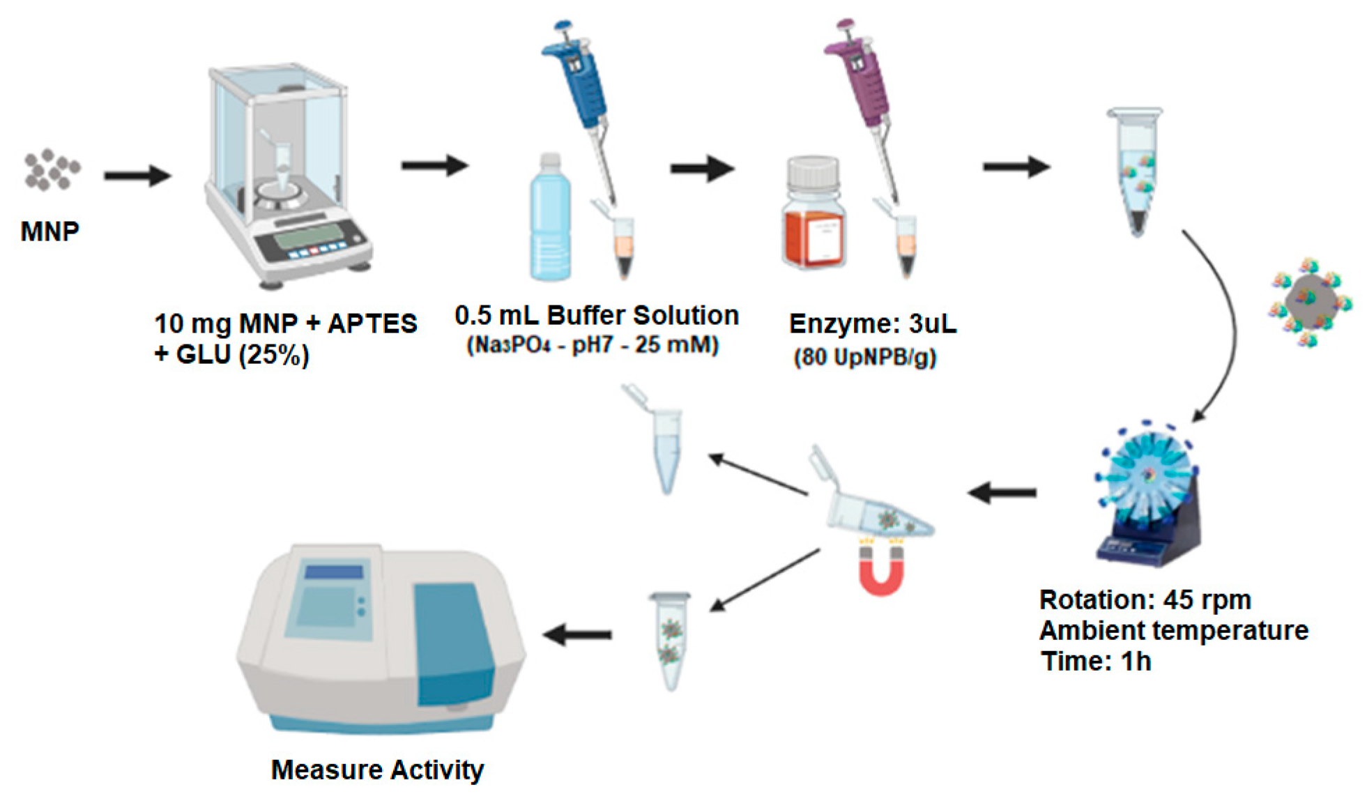 Catalysts 13 00571 g007