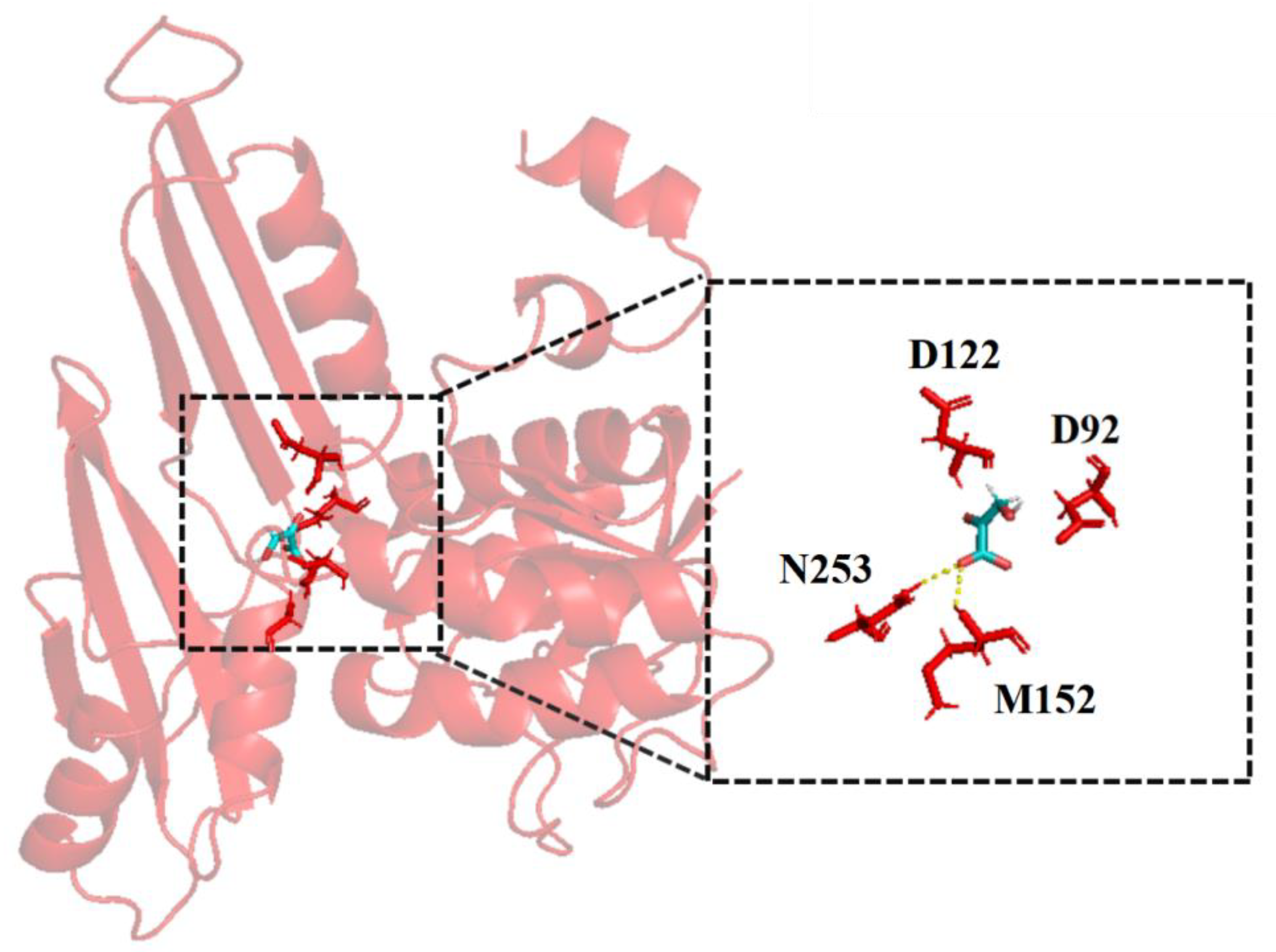 Catalysts 13 00576 g002