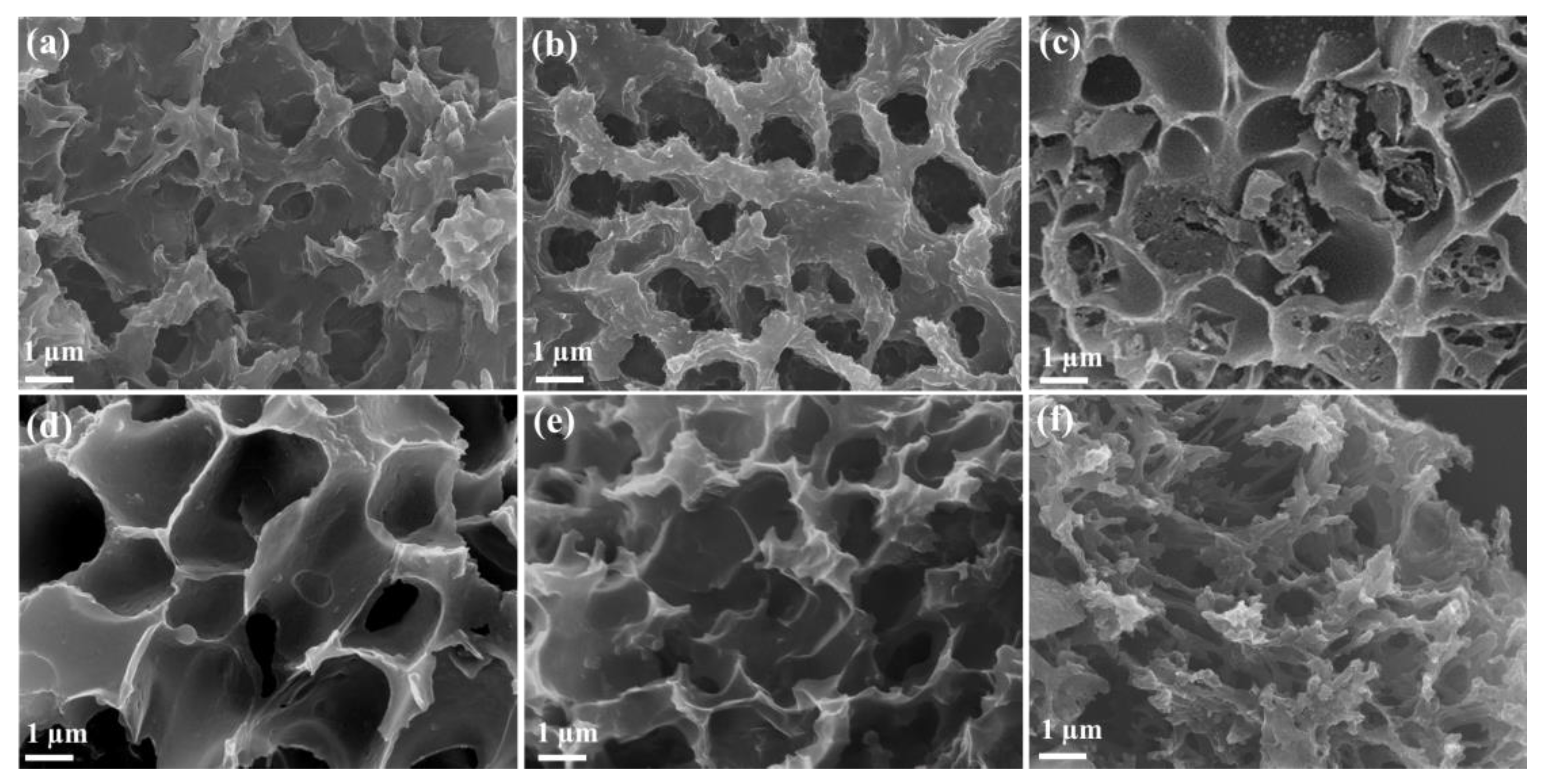 Catalysts 13 00577 g001