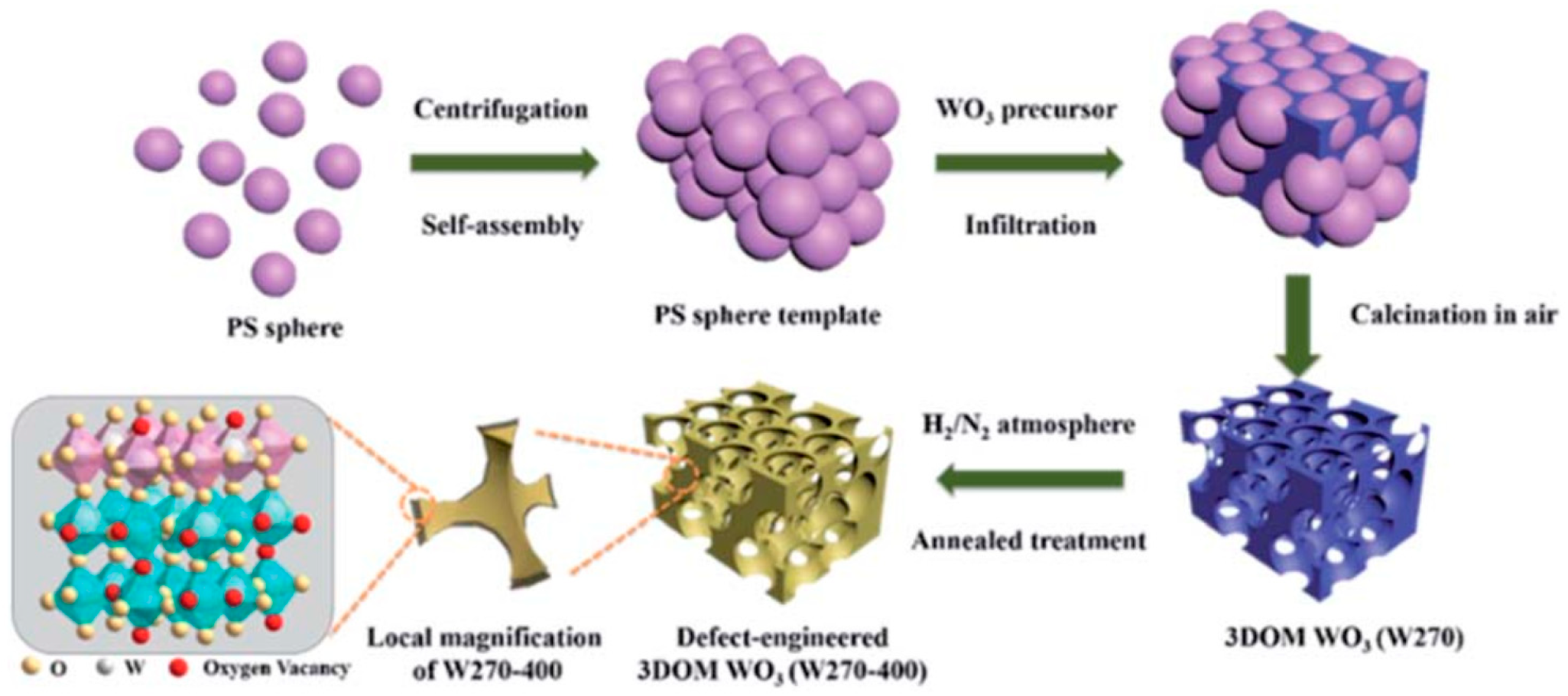 Catalysts 13 00579 g002