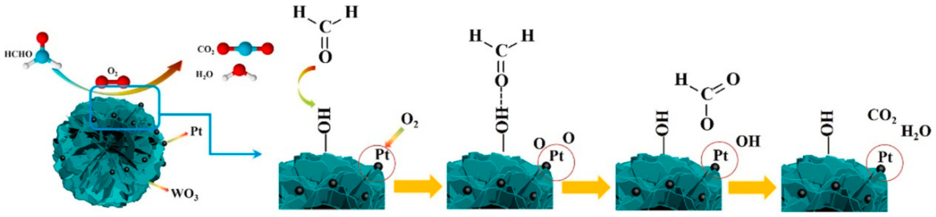 Catalysts 13 00579 g006