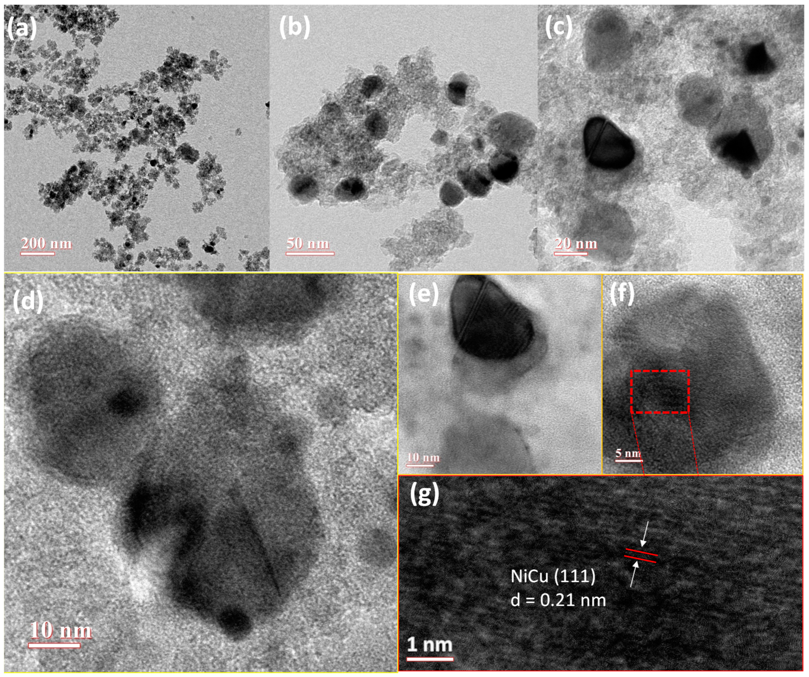 Catalysts 13 00580 g004