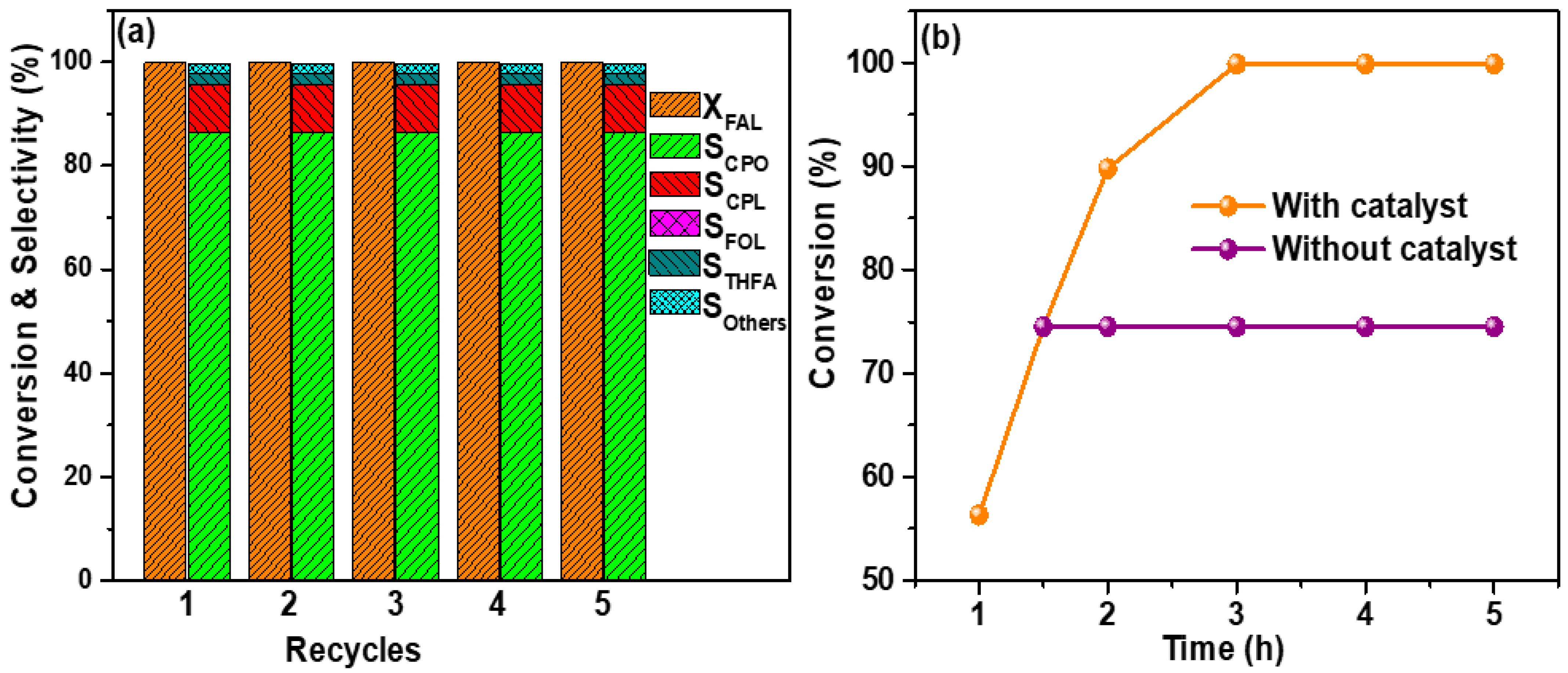 Catalysts 13 00580 g009