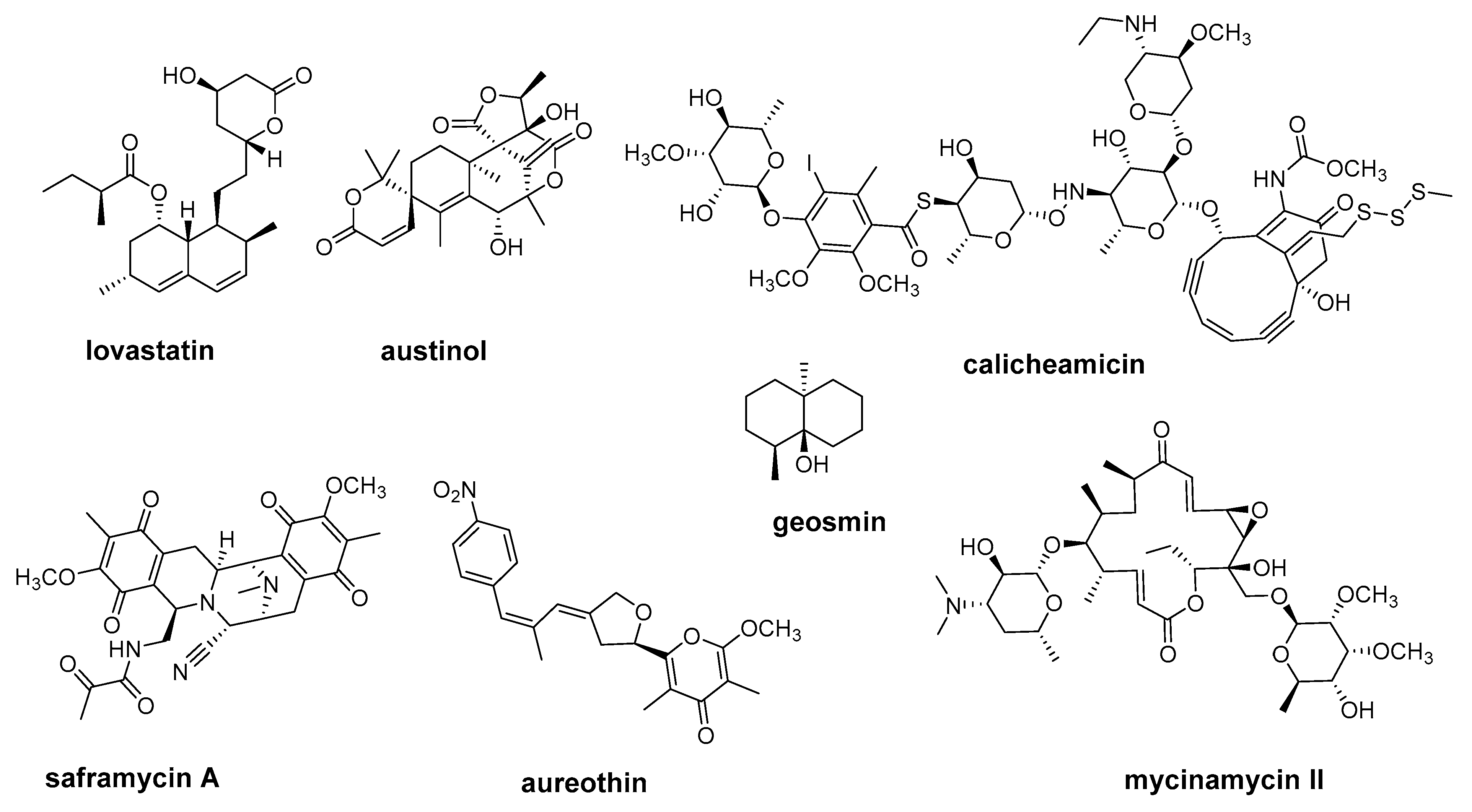 Catalysts 13 00581 g001