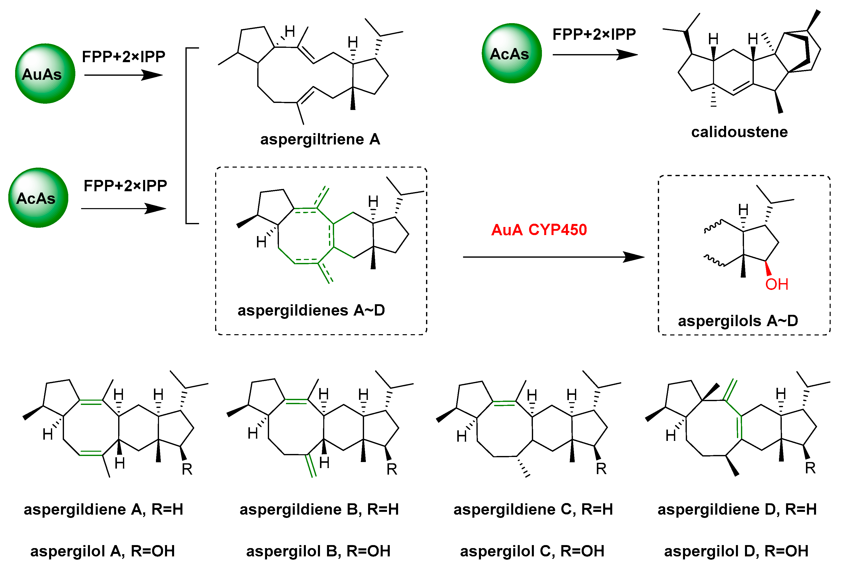 Catalysts 13 00581 g005