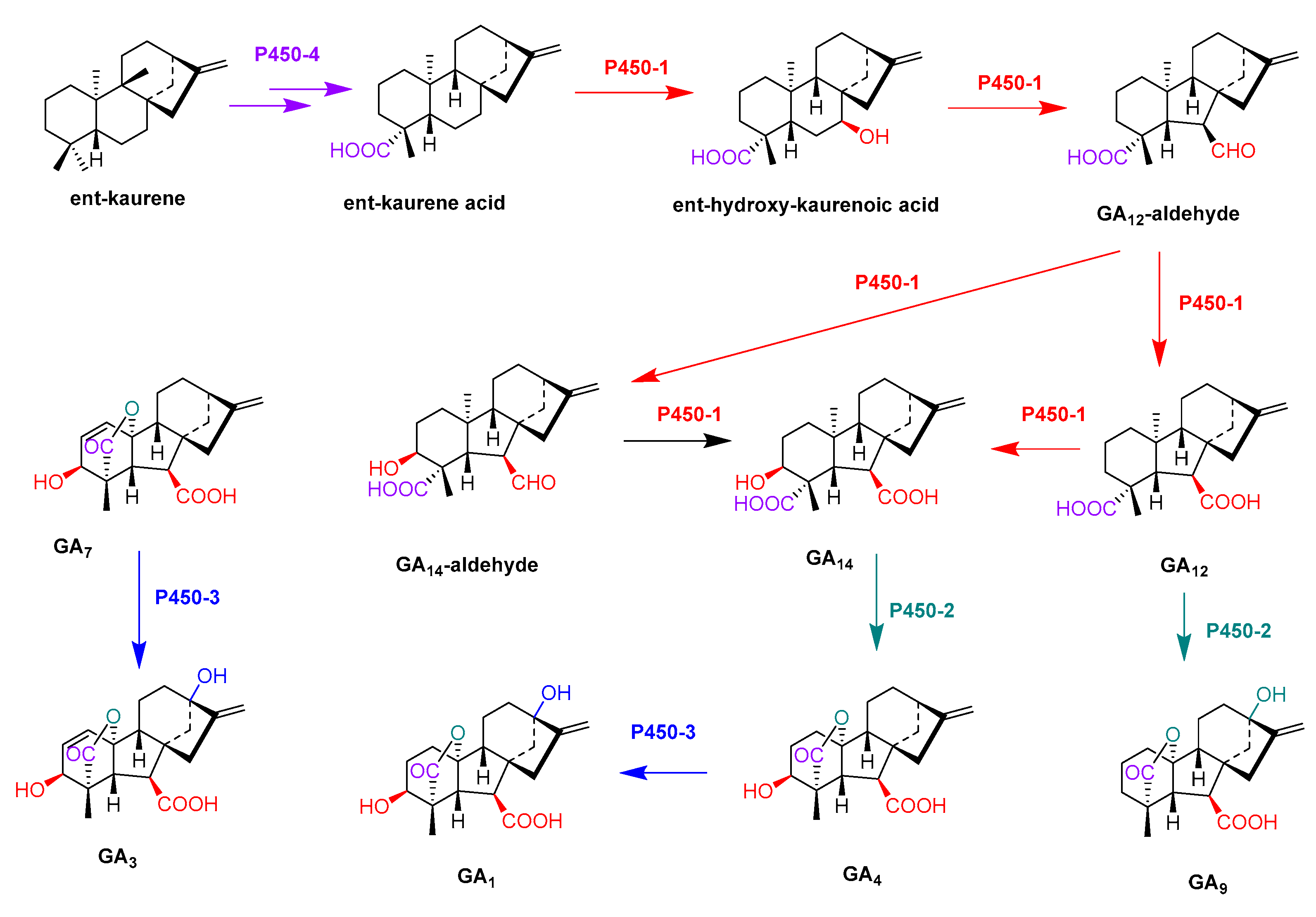 Catalysts 13 00581 g006