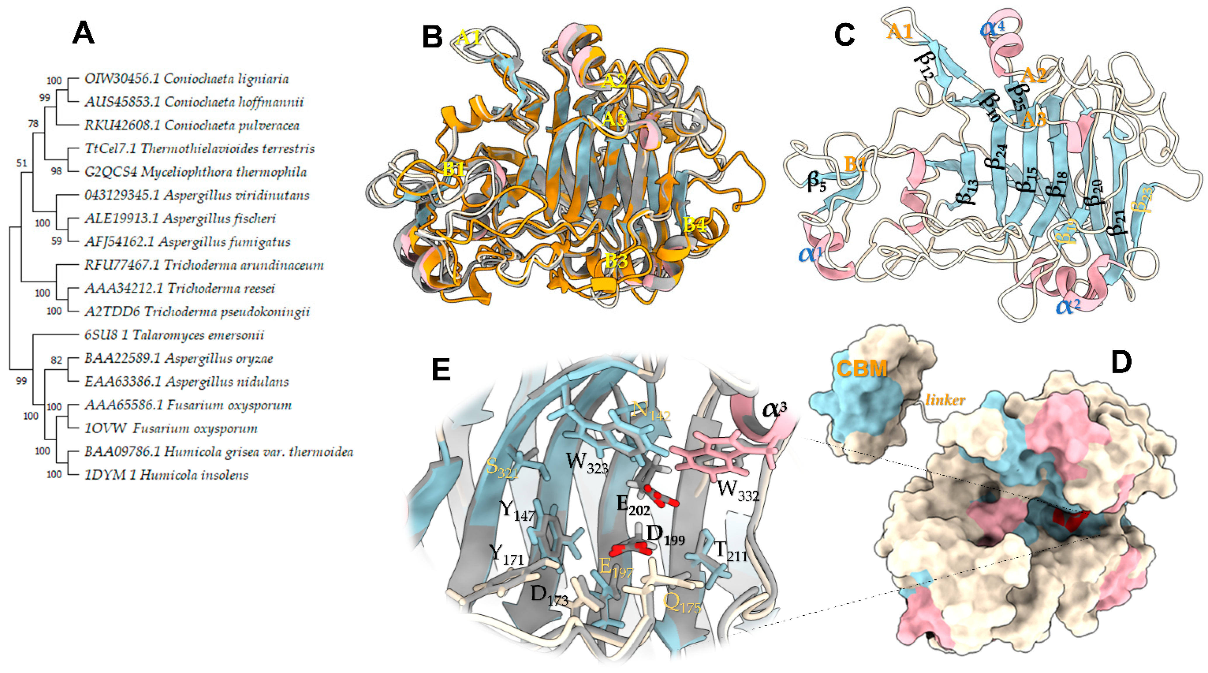 Catalysts 13 00582 g002