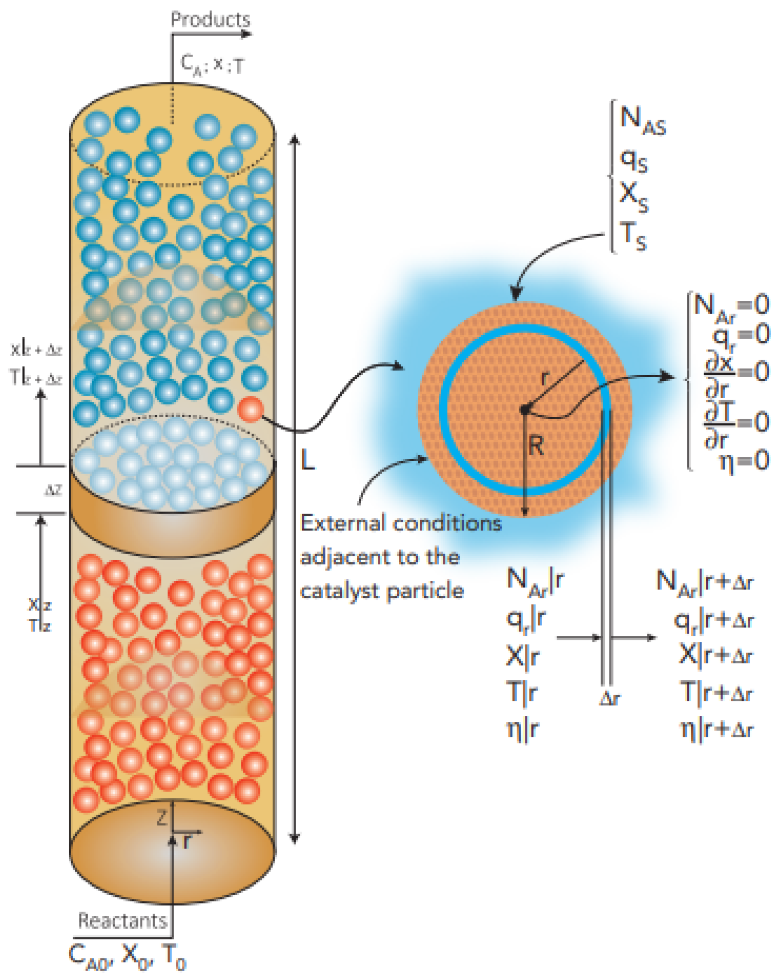 Catalysts 13 00585 g011