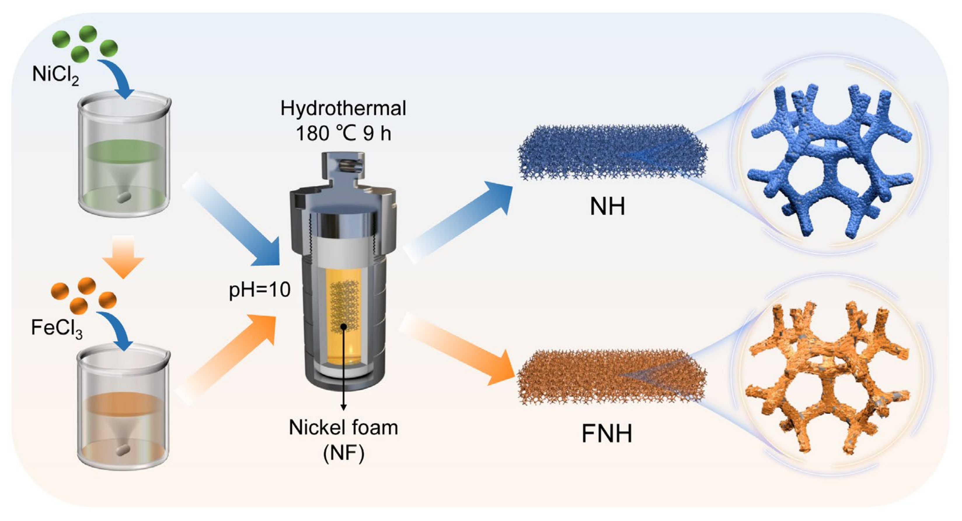 Catalysts 13 00586 g001