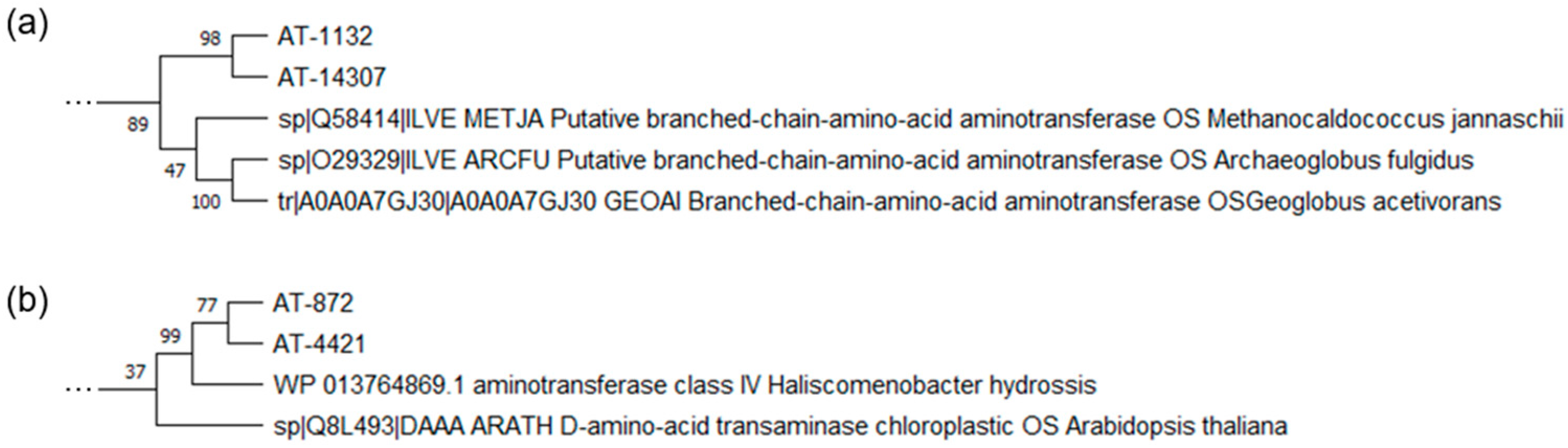 Catalysts 13 00587 g001