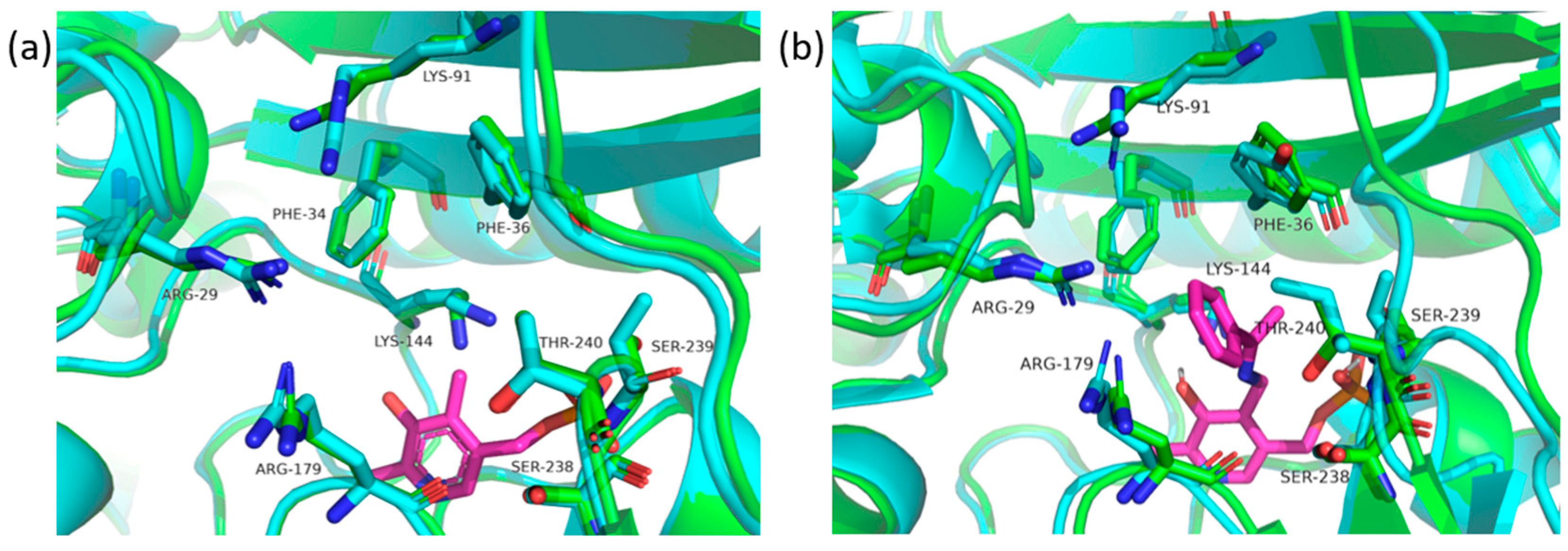 Catalysts 13 00587 g004