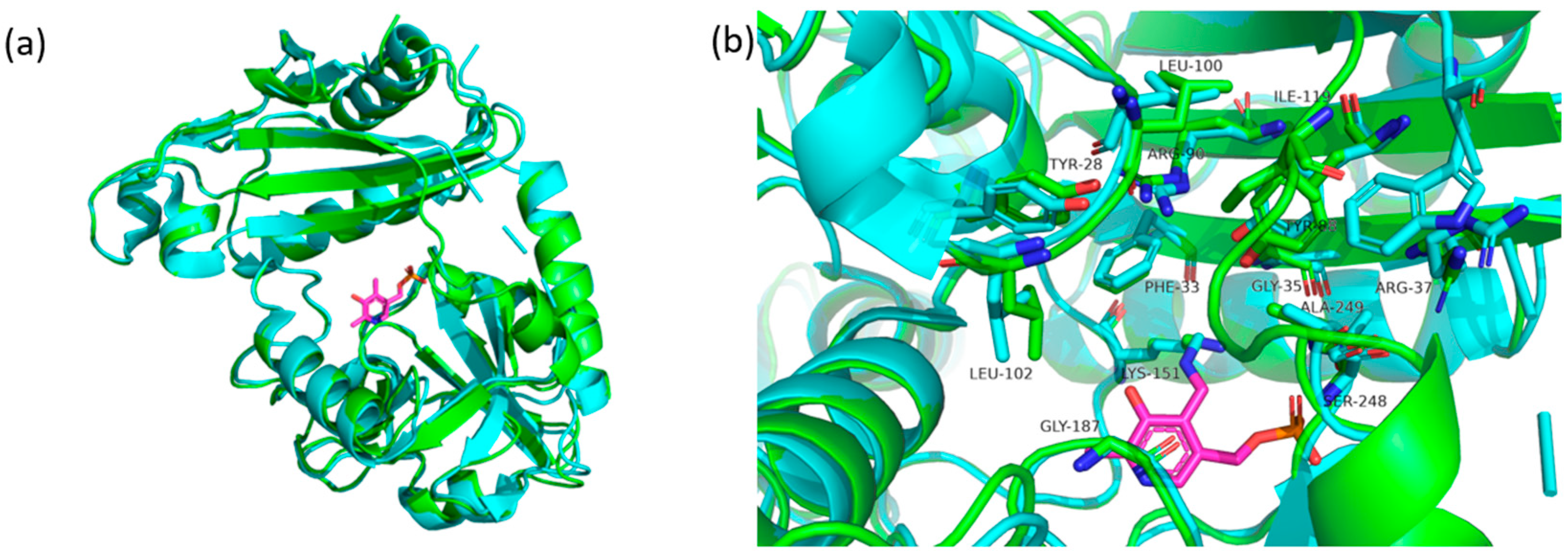 Catalysts 13 00587 g005