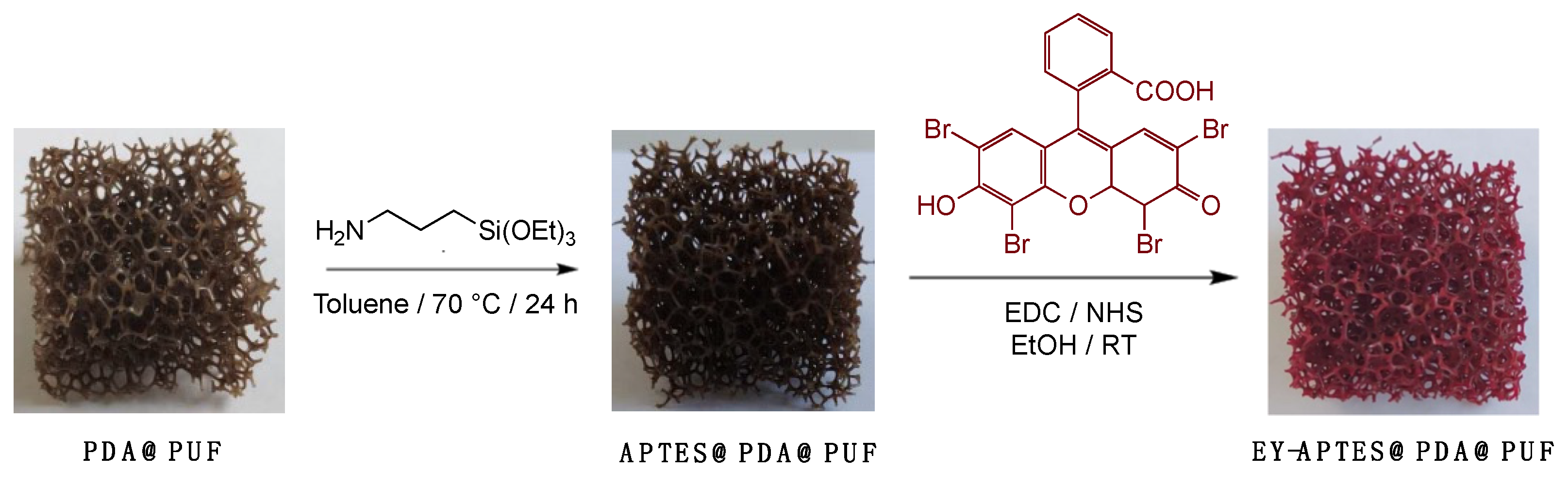 Catalysts 13 00589 g001