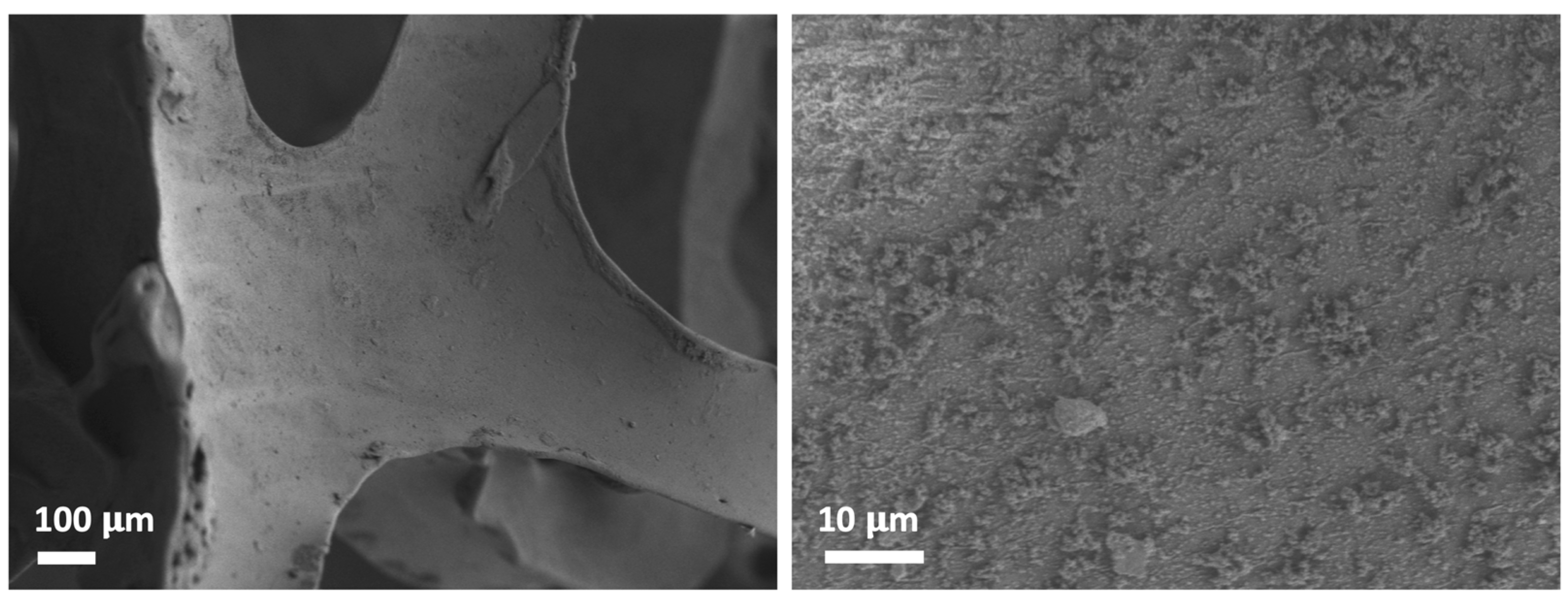Catalysts 13 00589 g003
