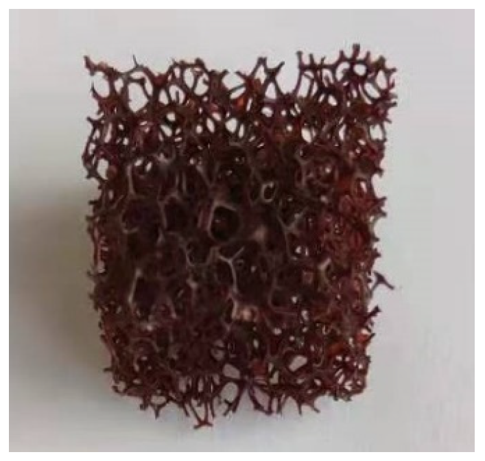 Catalysts 13 00589 g005