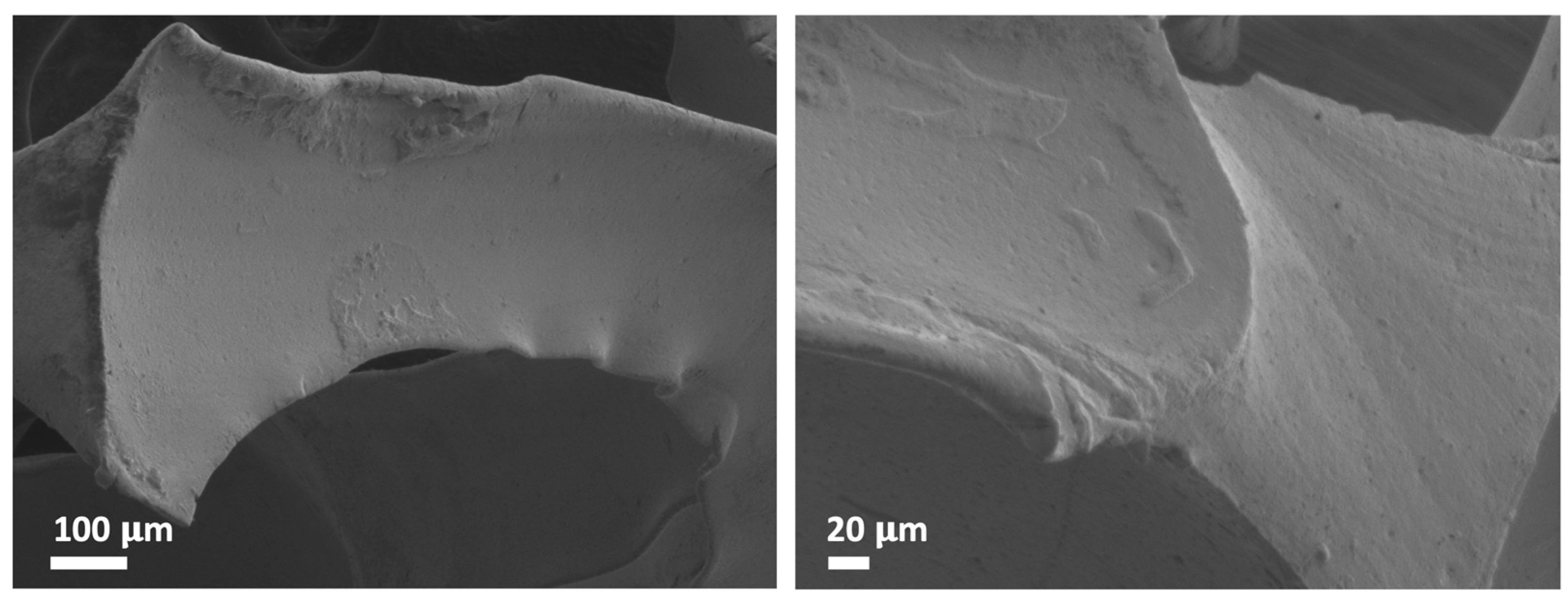 Catalysts 13 00589 g006