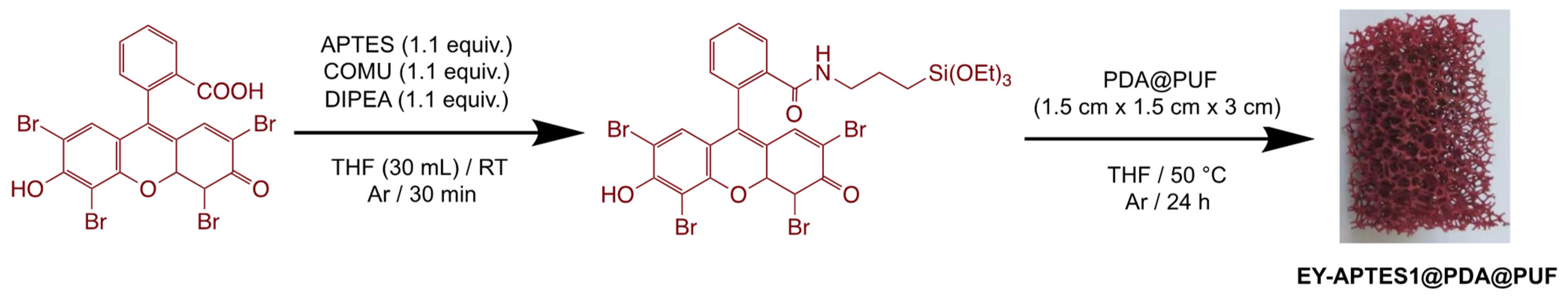 Catalysts 13 00589 g009