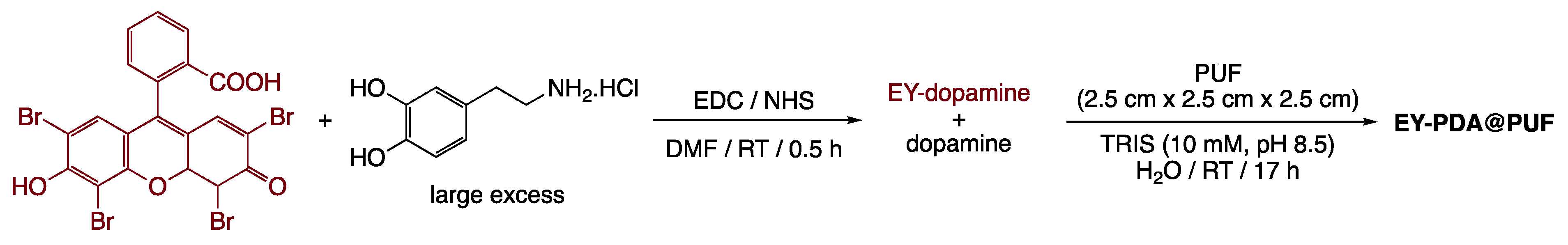 Catalysts 13 00589 sch001