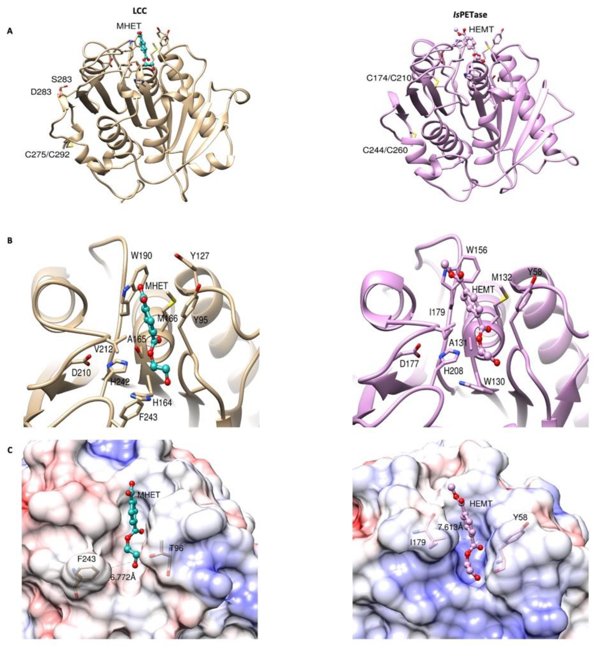 Catalysts 13 00591 g002