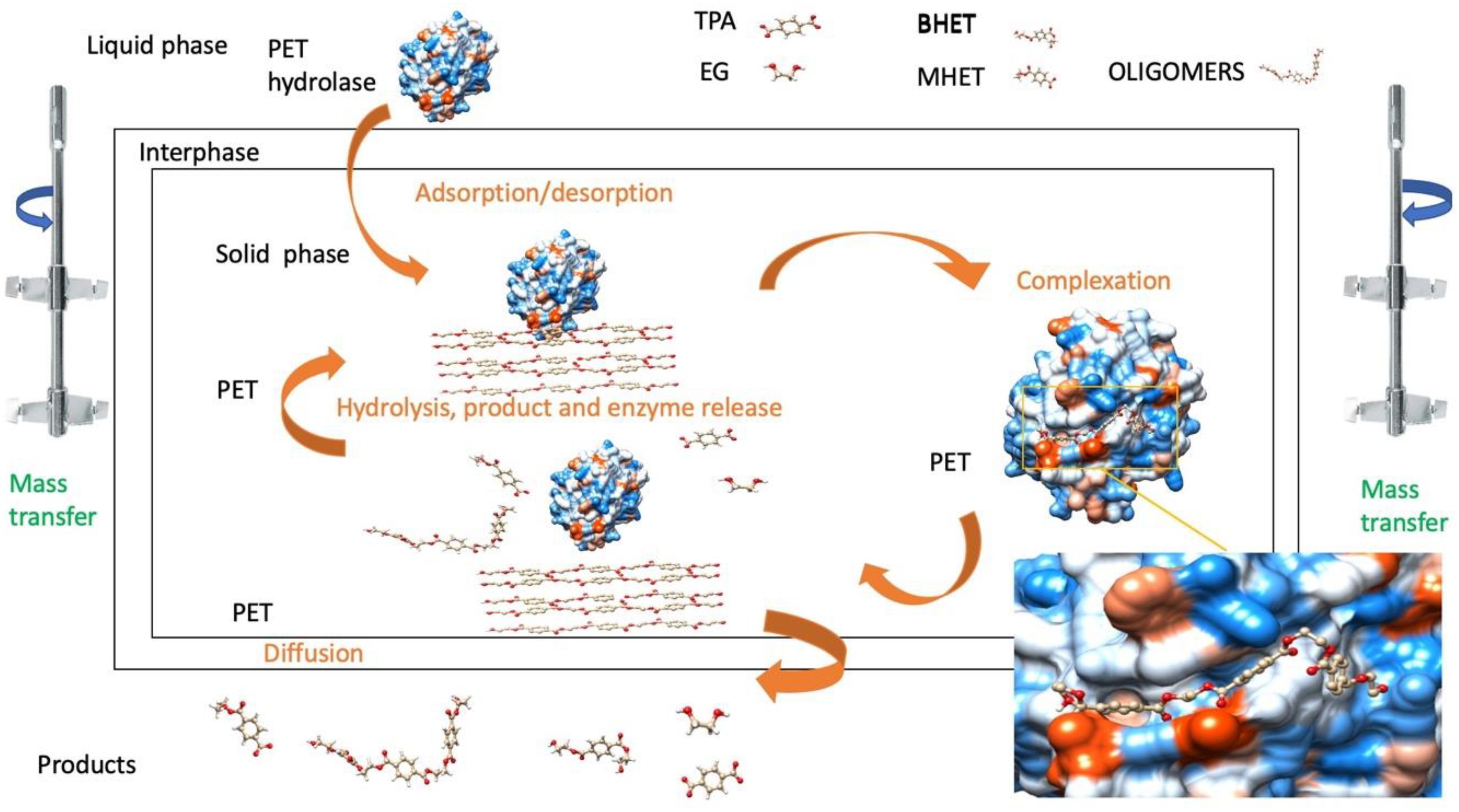 Catalysts 13 00591 g004