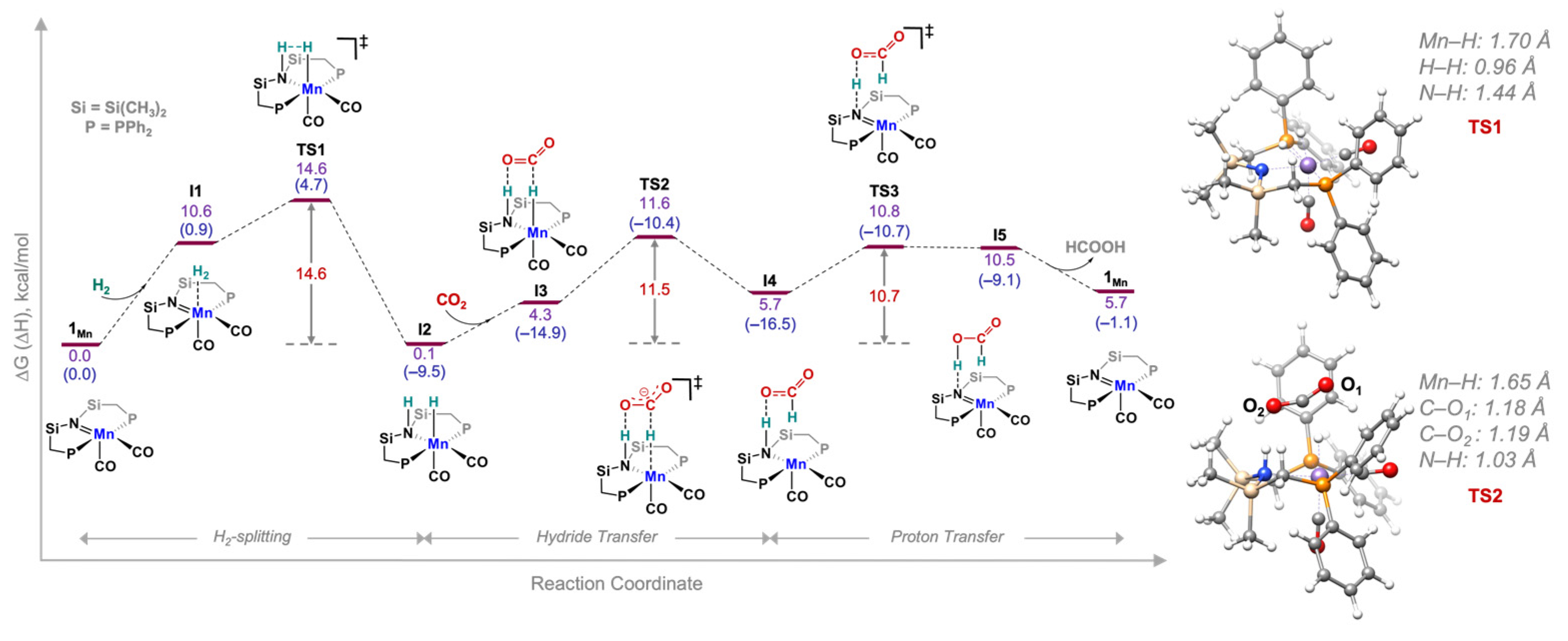 Catalysts 13 00592 g001