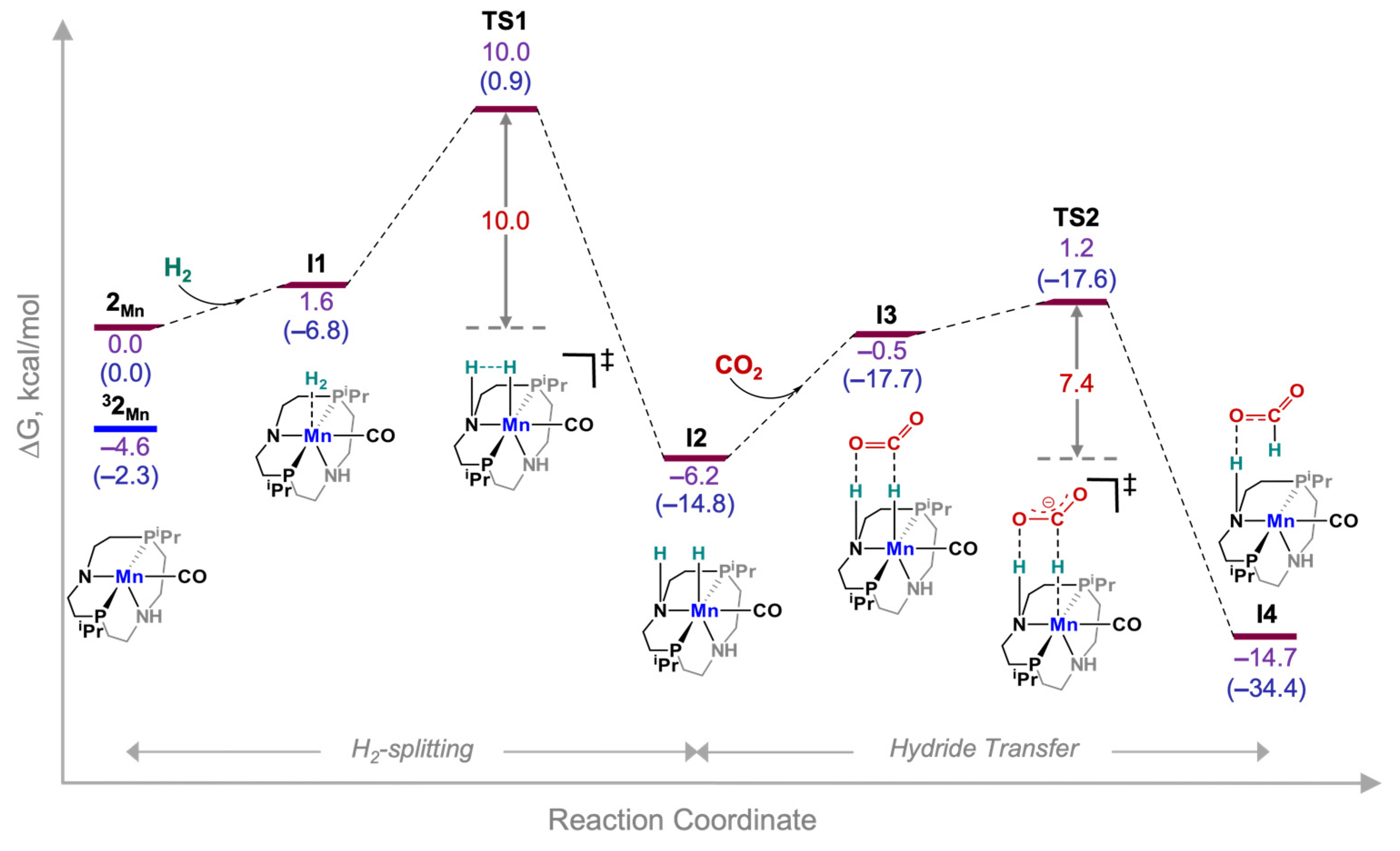 Catalysts 13 00592 g002