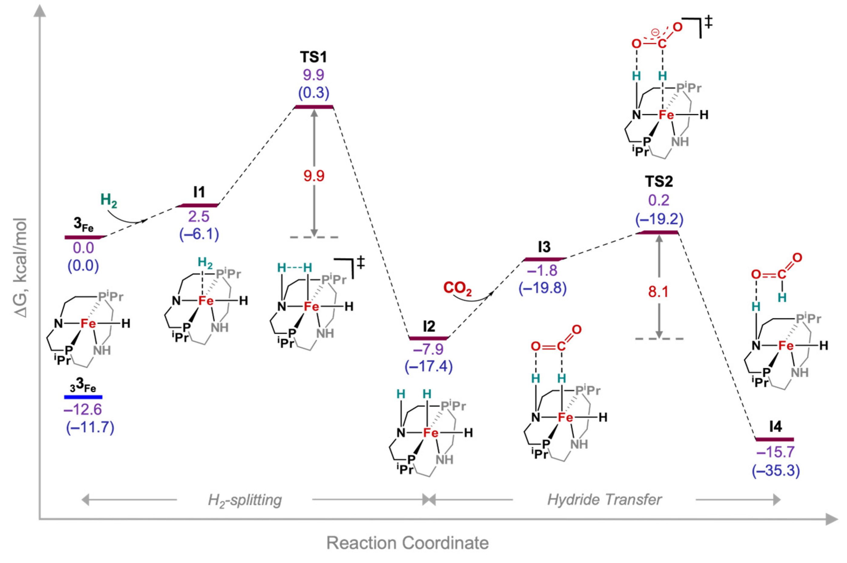 Catalysts 13 00592 g003
