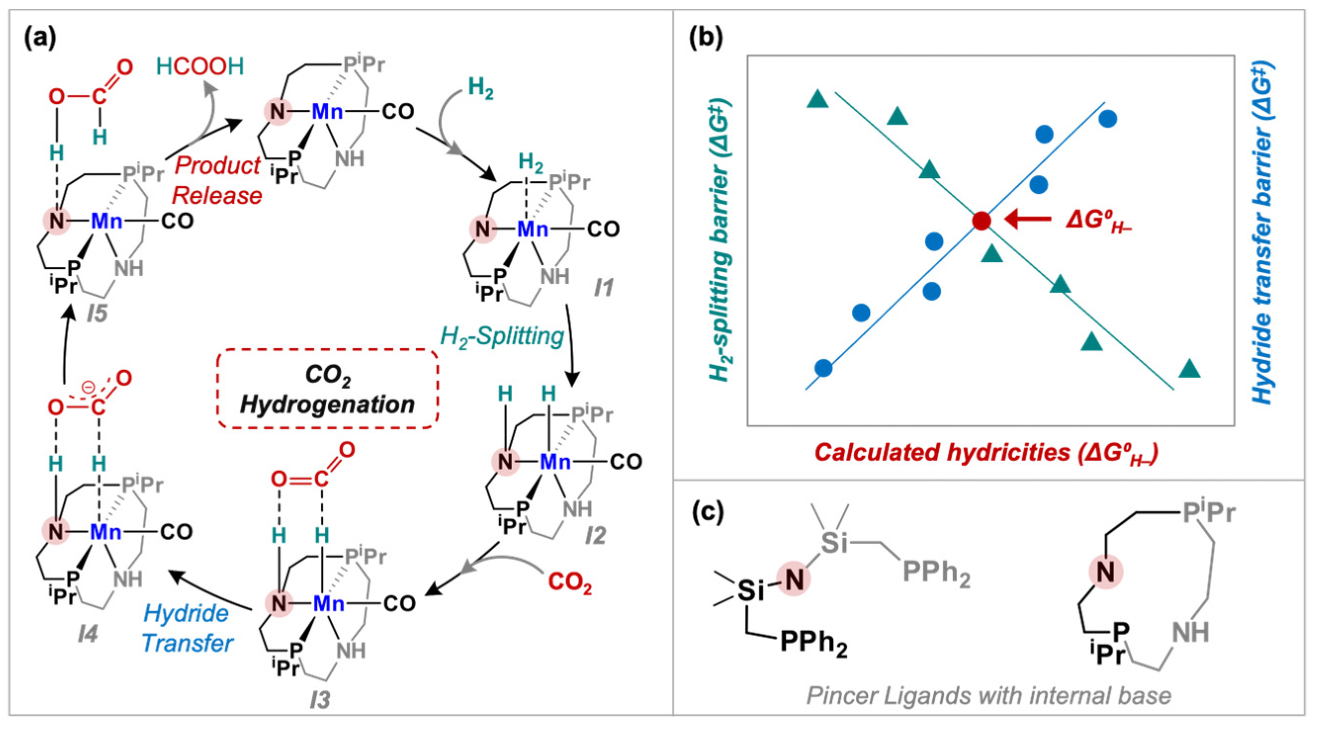 Catalysts 13 00592 sch001