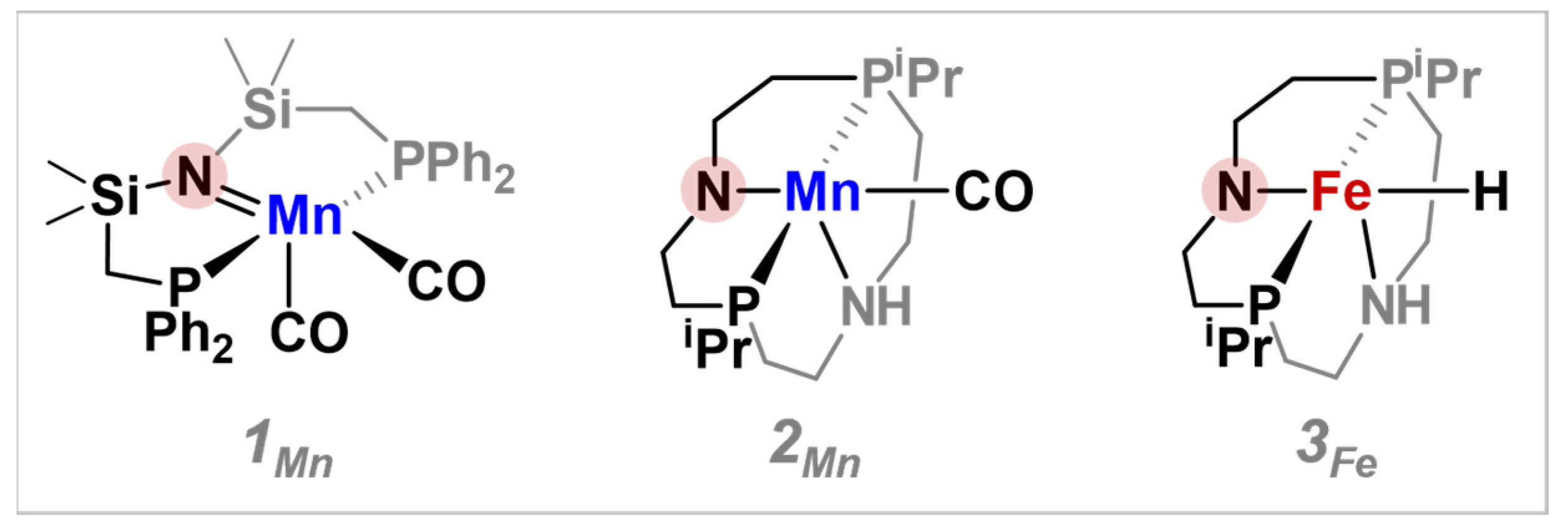 Catalysts 13 00592 sch002