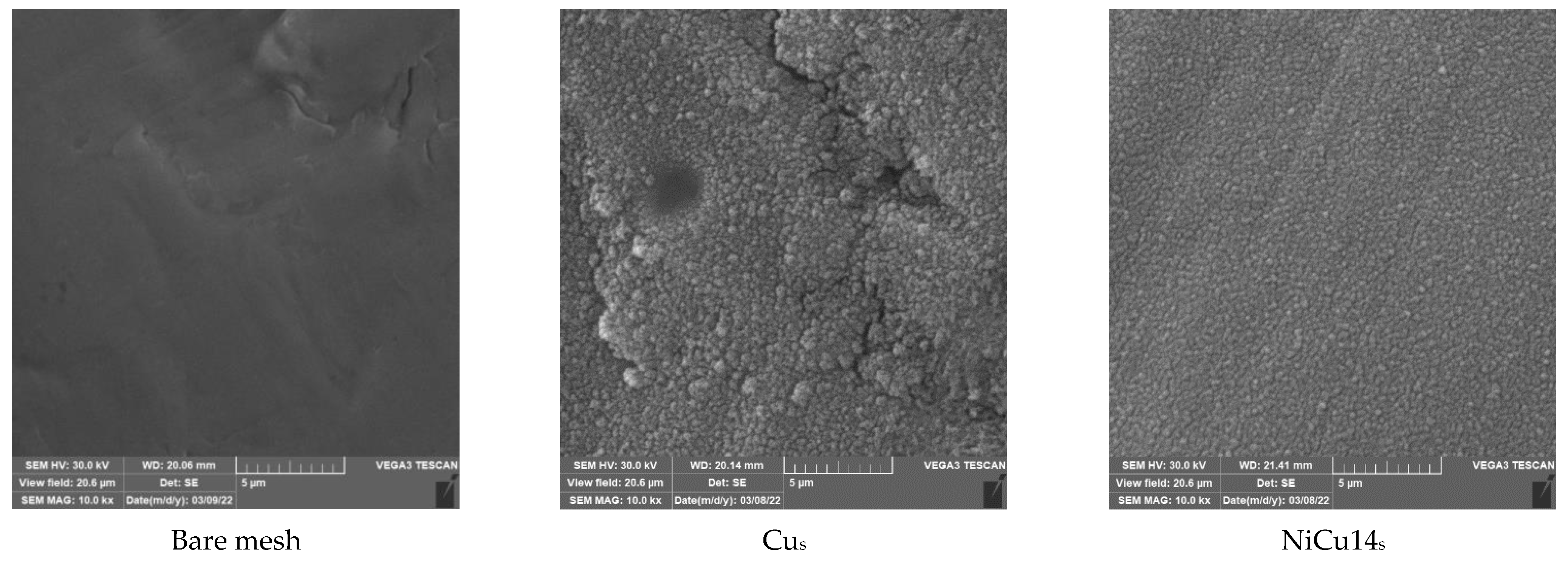 Catalysts 13 00595 g001a