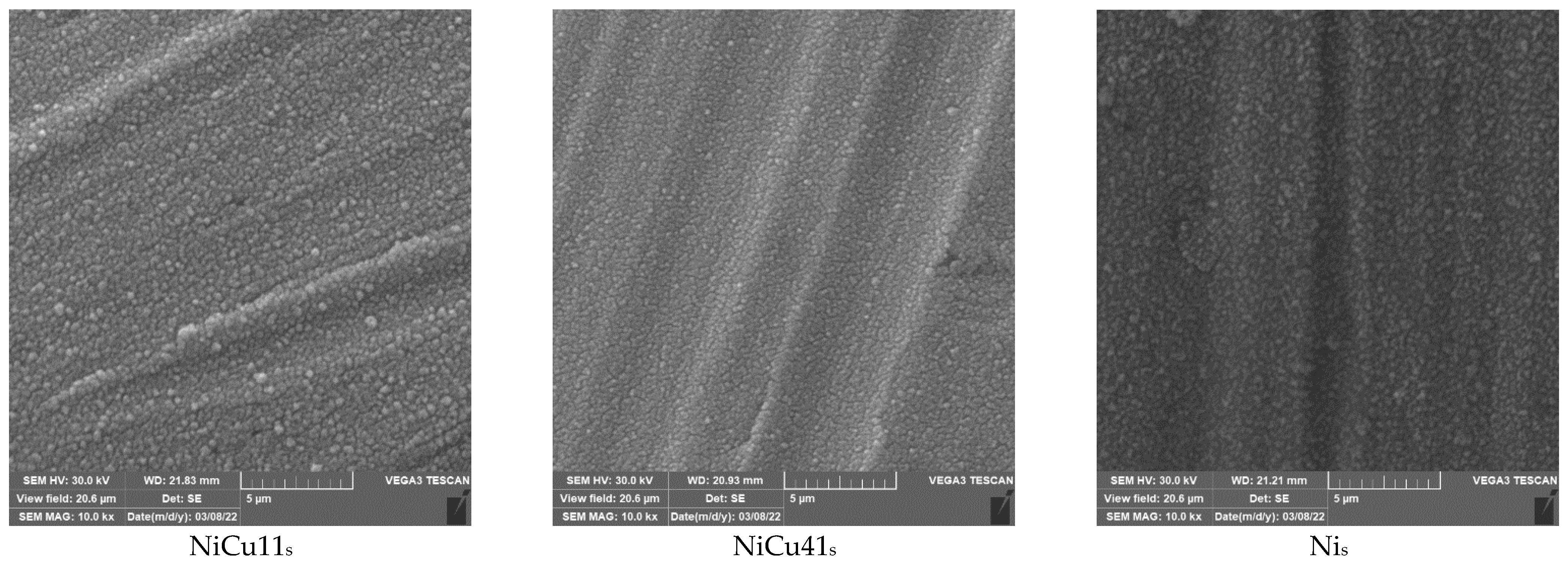 Catalysts 13 00595 g001b