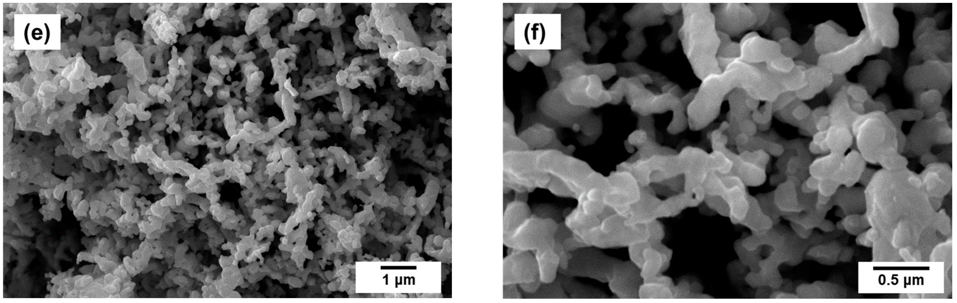 Catalysts 13 00599 g002b