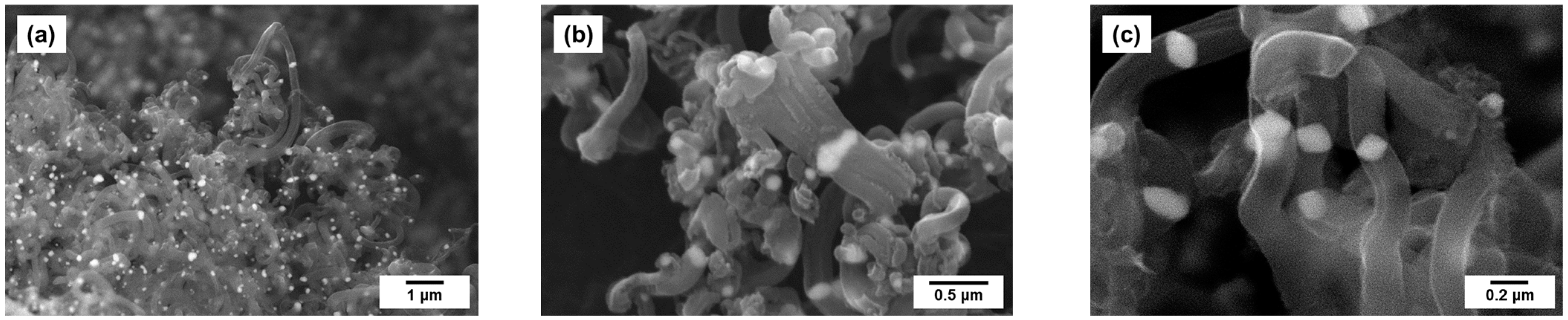 Catalysts 13 00599 g006