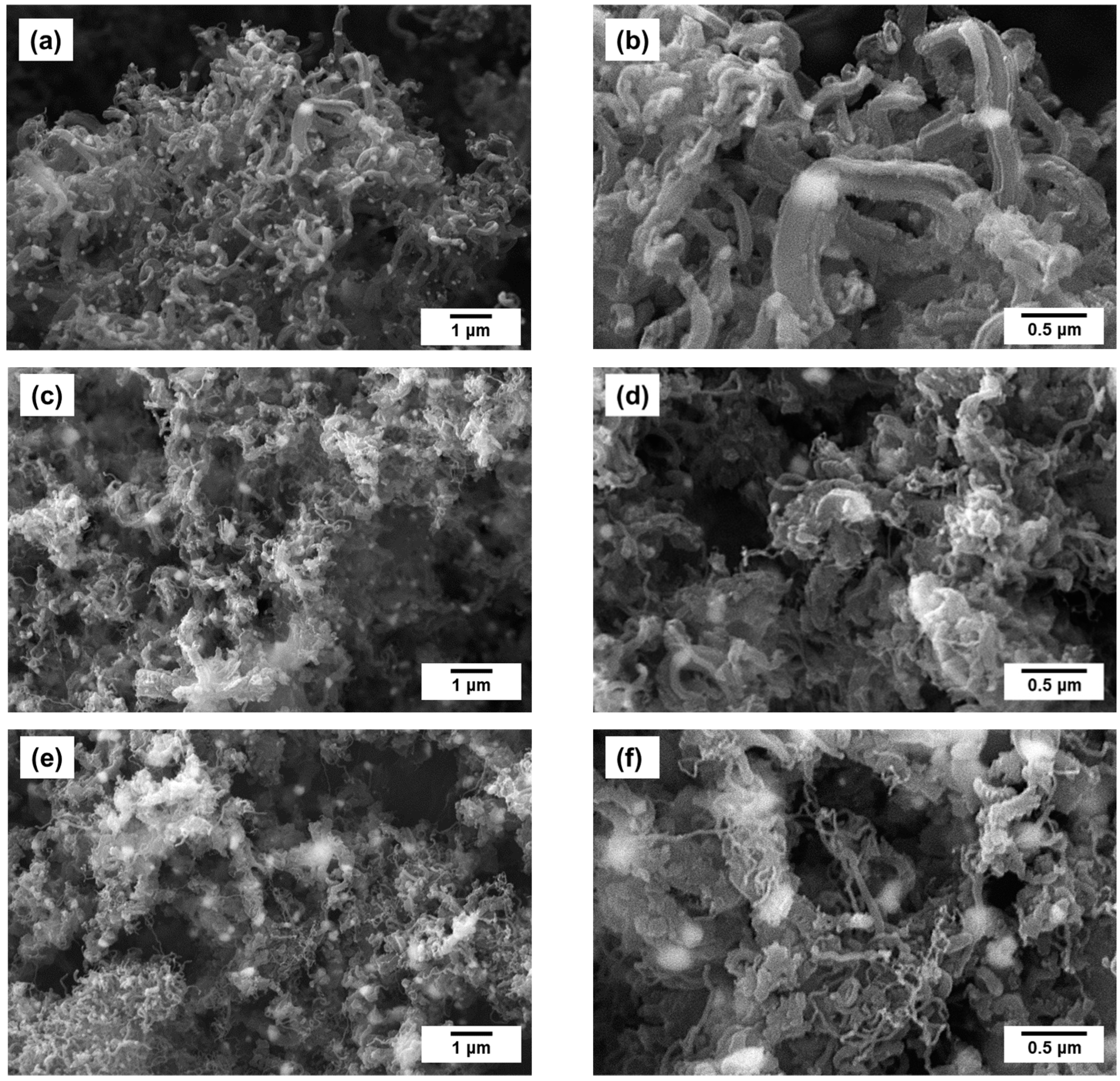 Catalysts 13 00599 g007