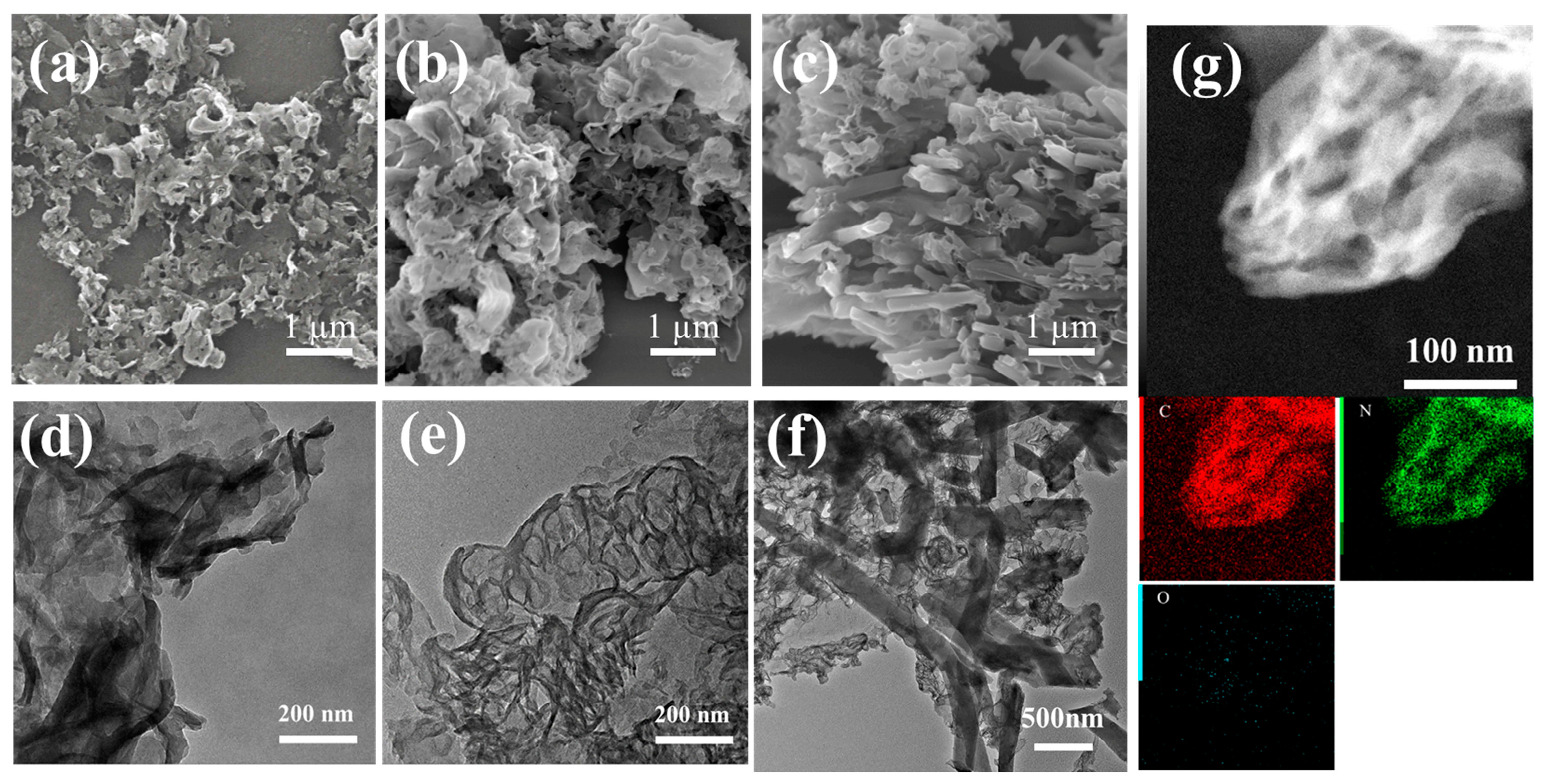 Catalysts 13 00600 g001