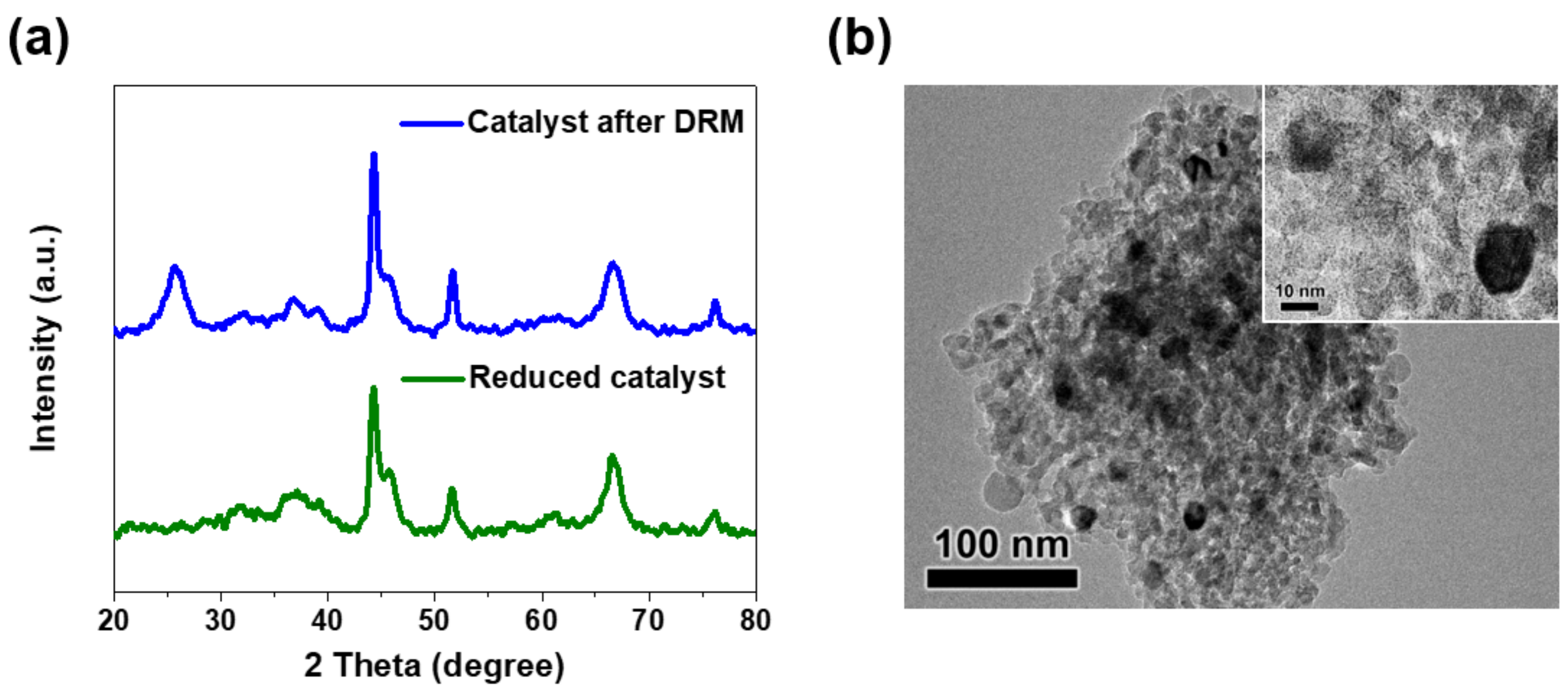 Catalysts 13 00602 g005