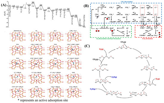 Catalysts 13 00604 g001