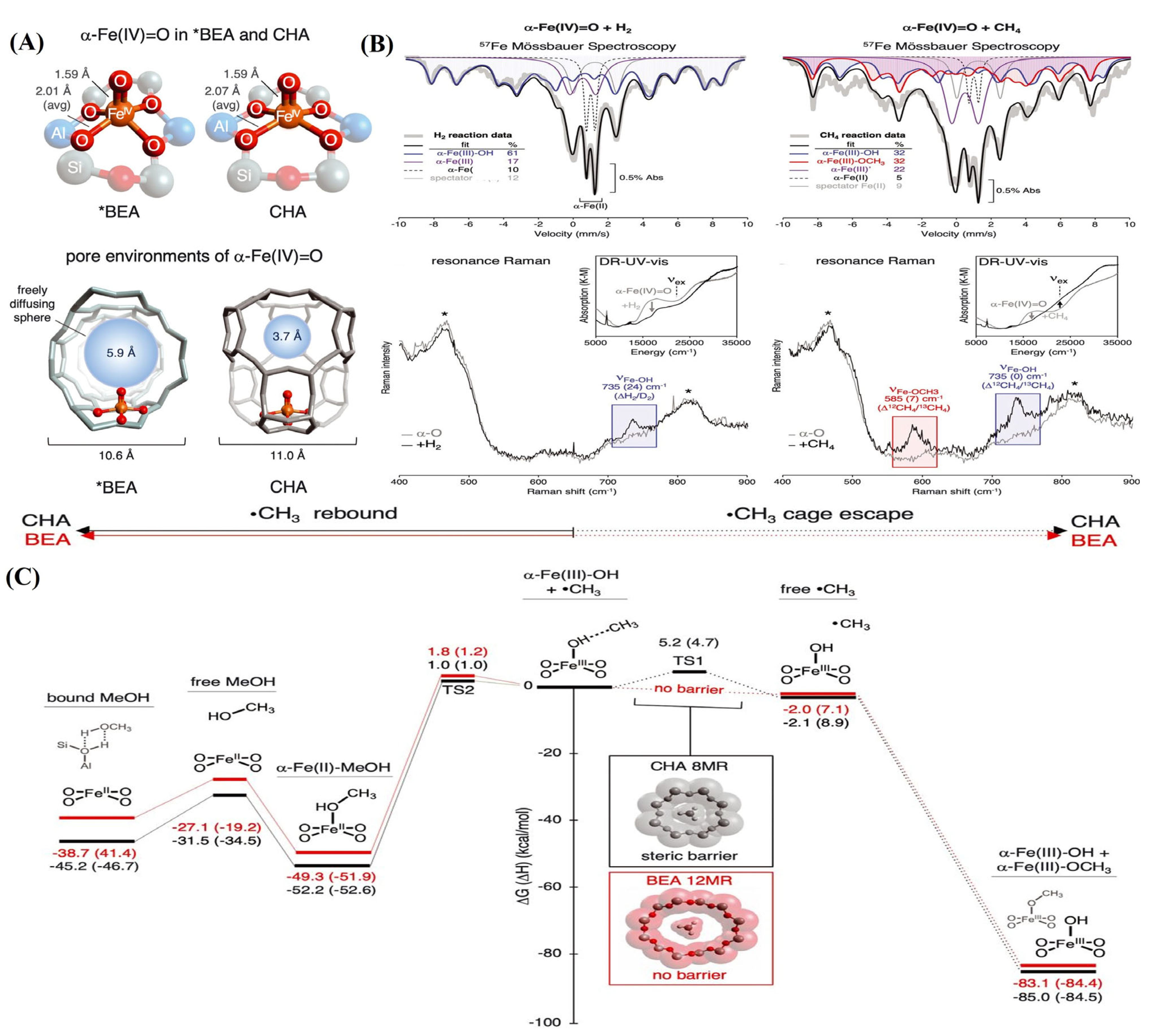 Catalysts 13 00604 g002