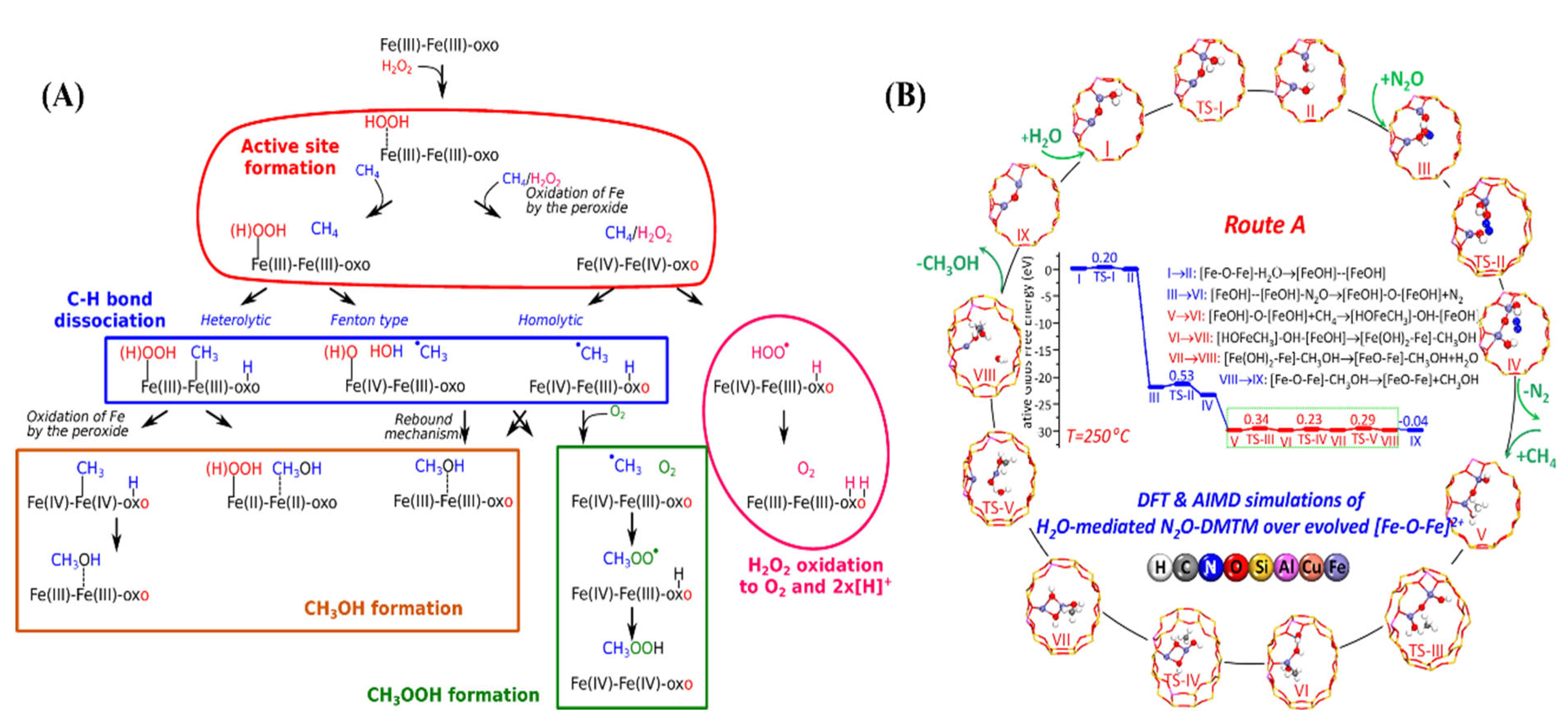 Catalysts 13 00604 g003