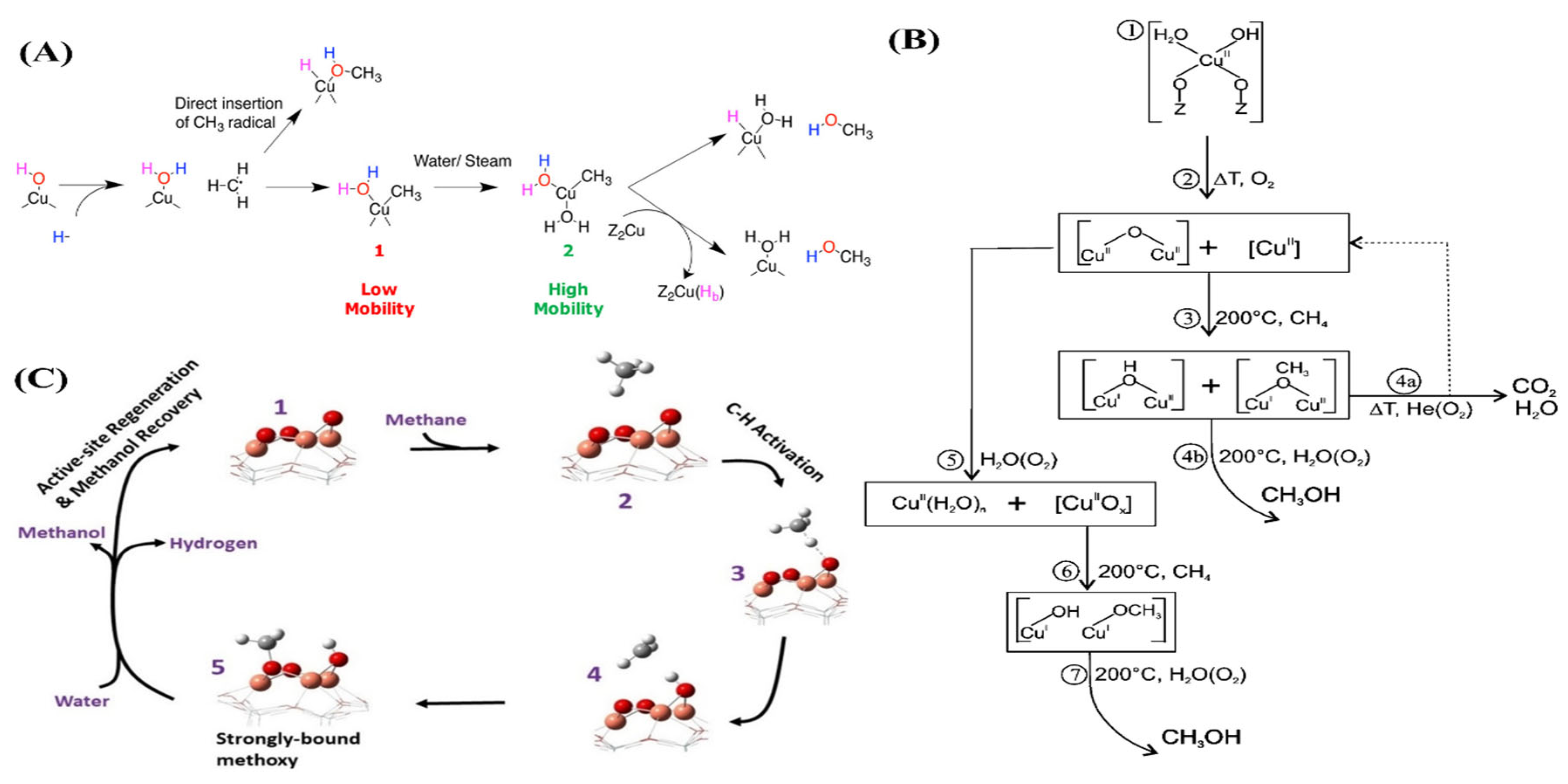 Catalysts 13 00604 g004
