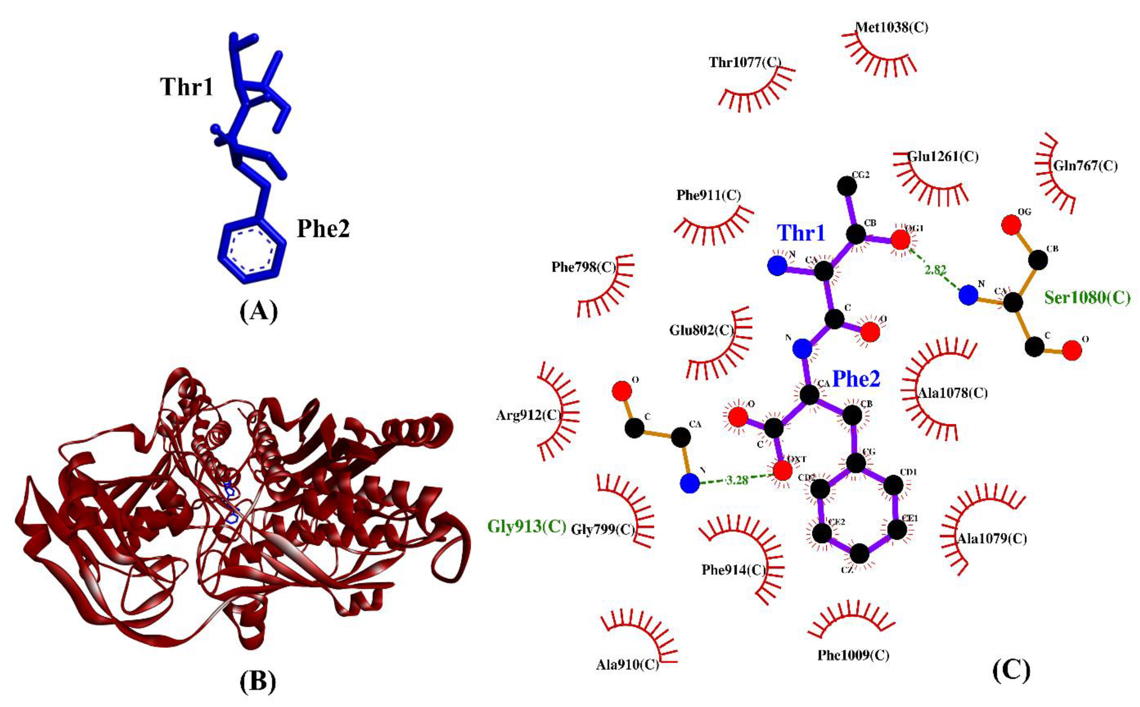 Catalysts 13 00605 g007
