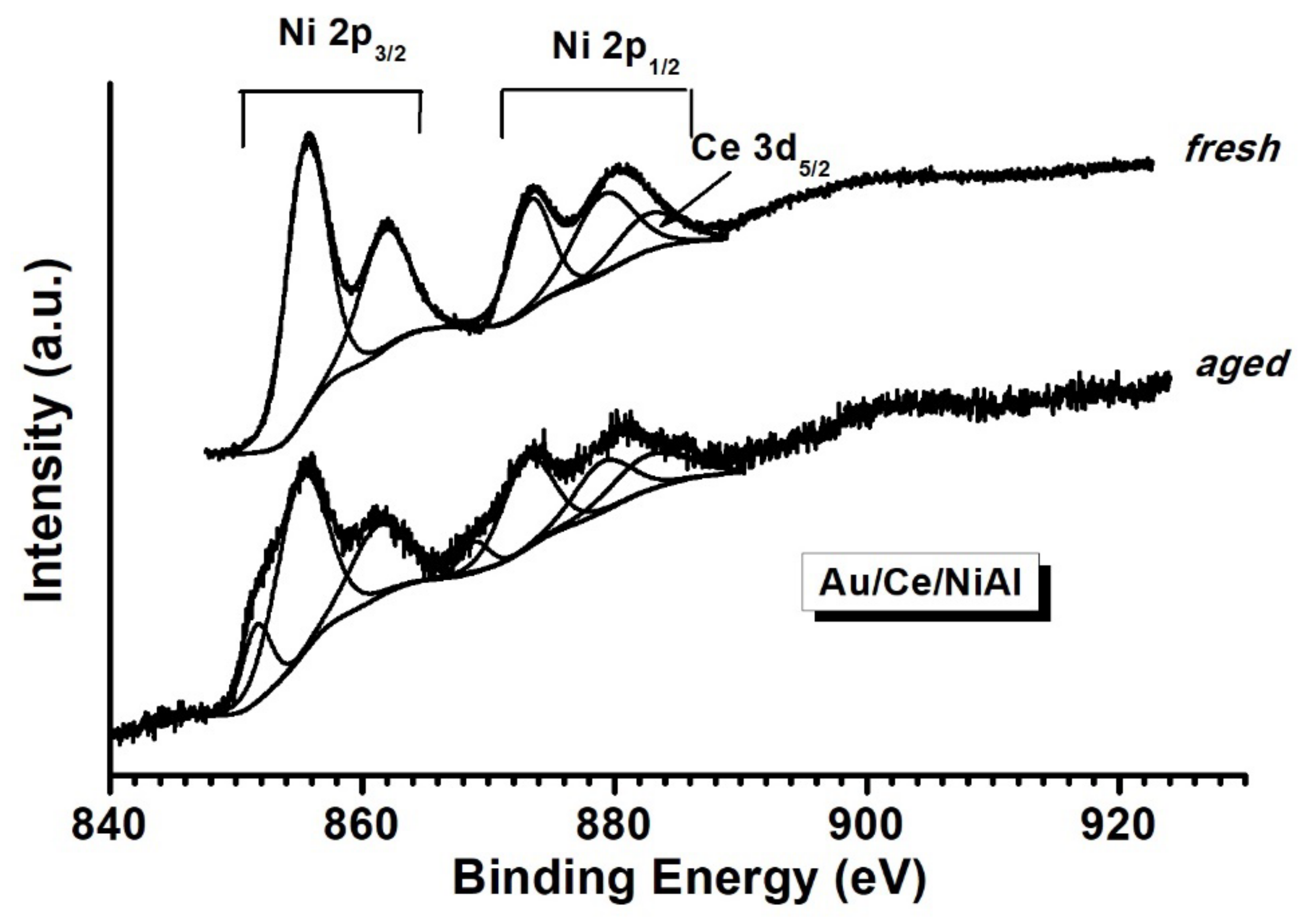 Catalysts 13 00606 g010