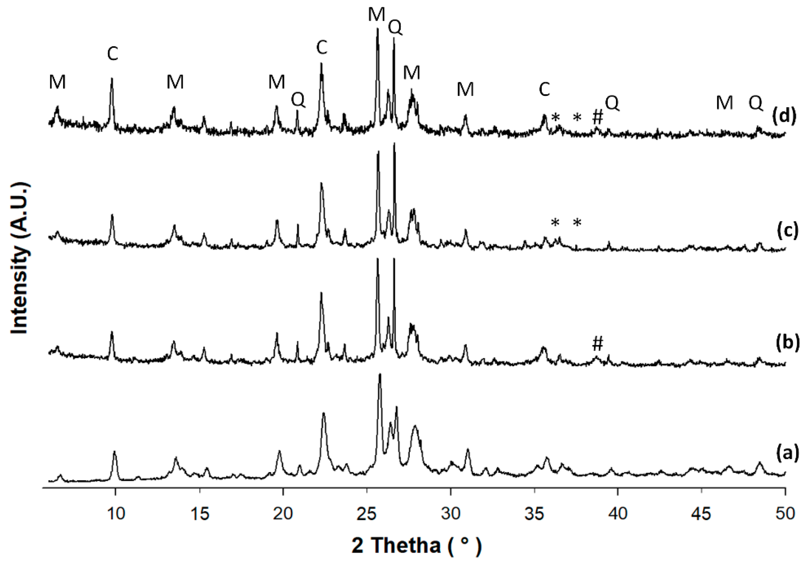 Catalysts 13 00610 g001