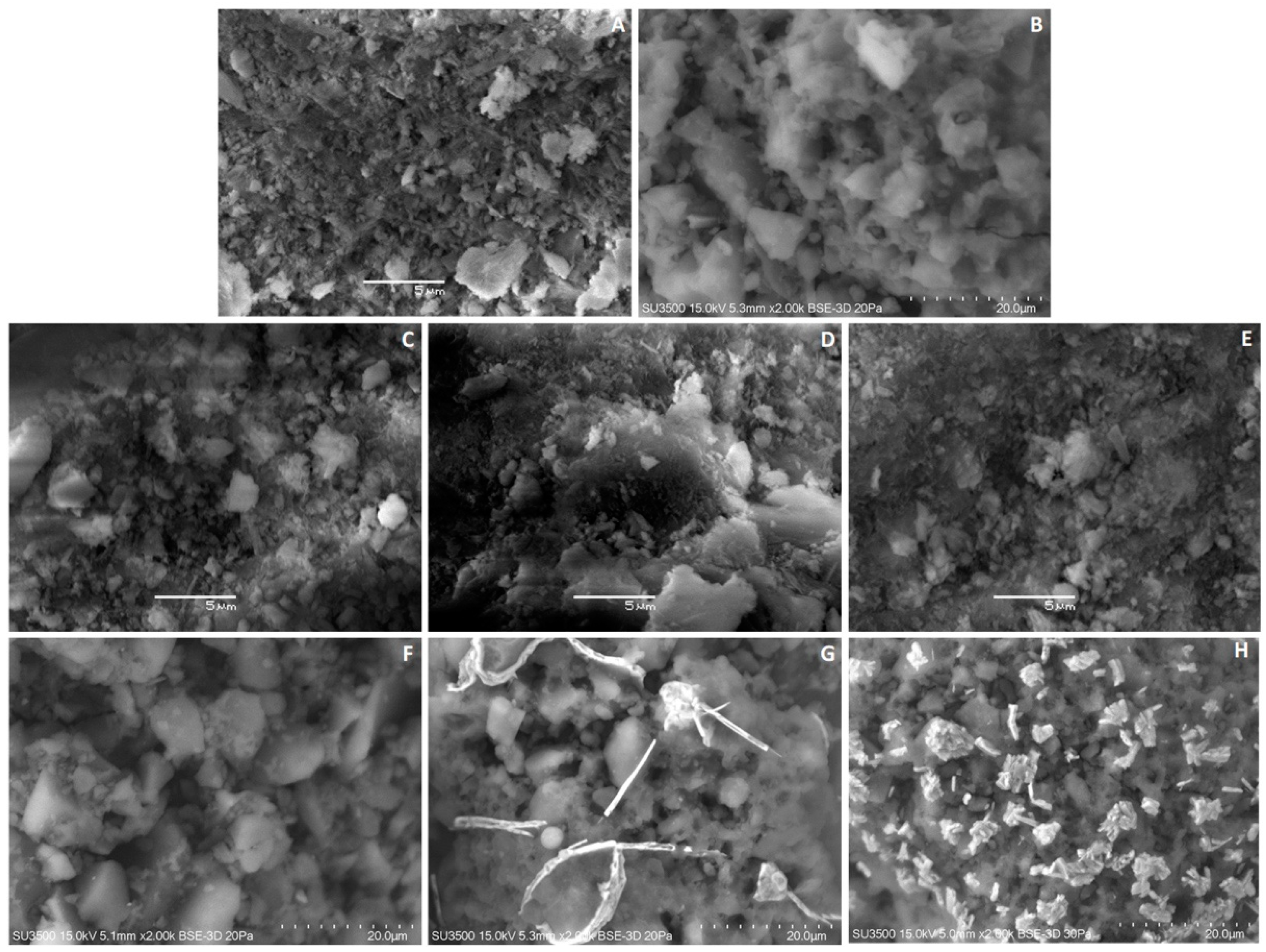 Catalysts 13 00610 g002